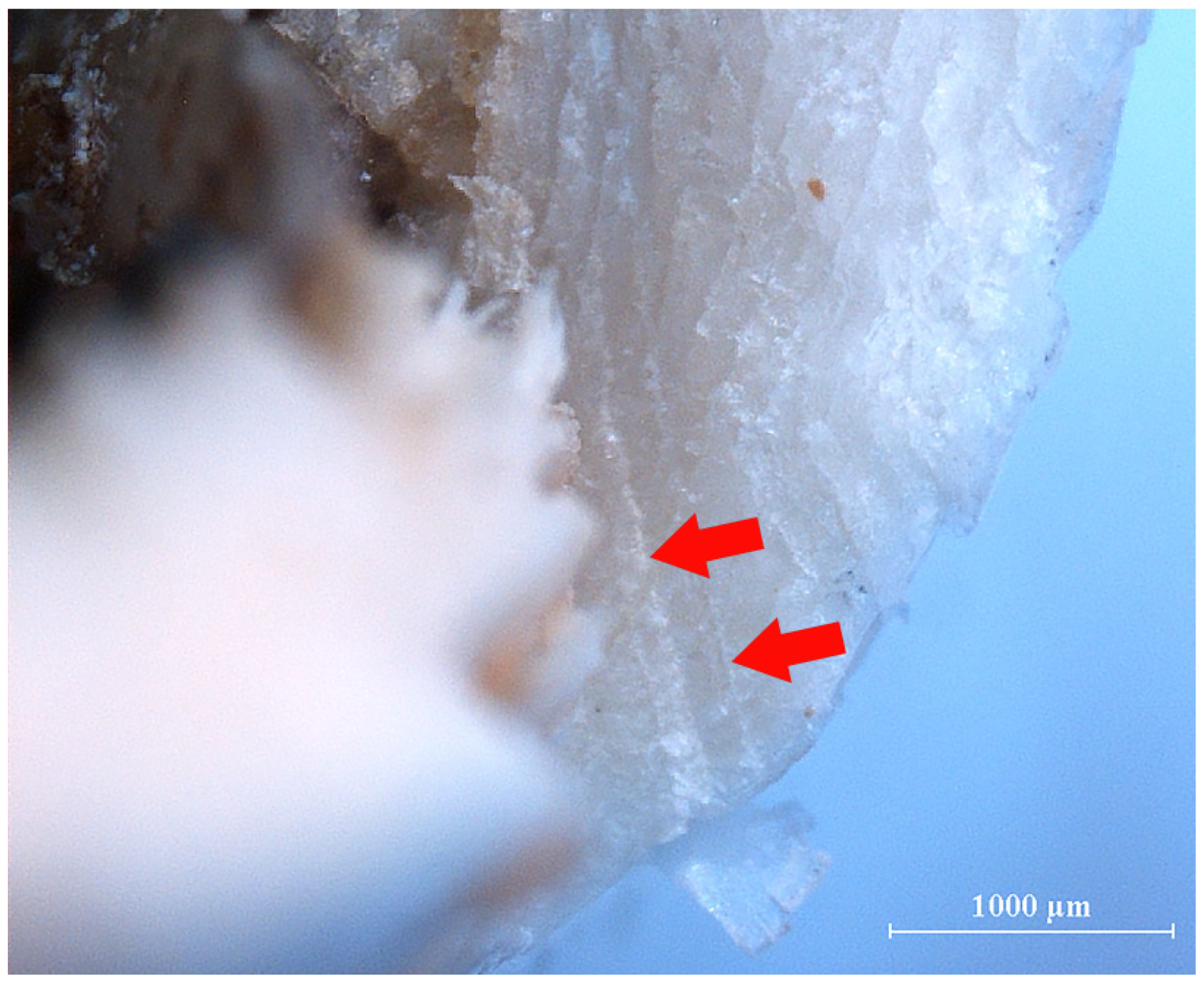 Humans 05 00014 g012