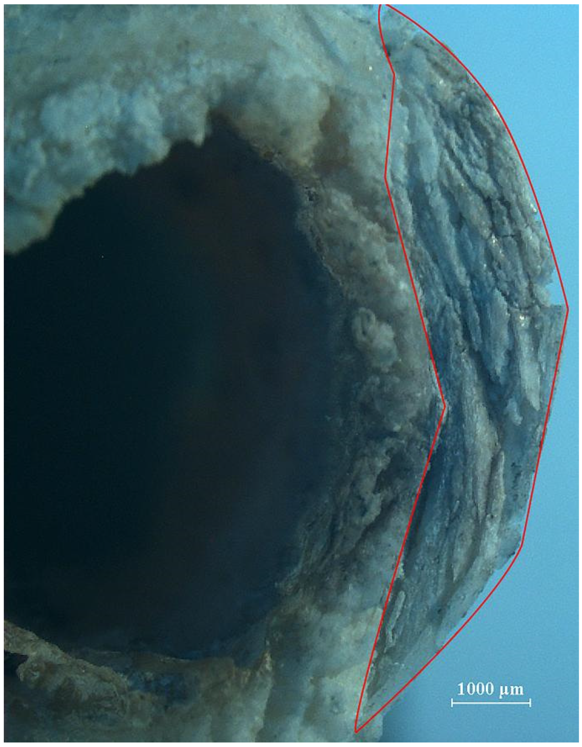 Humans 05 00014 g013