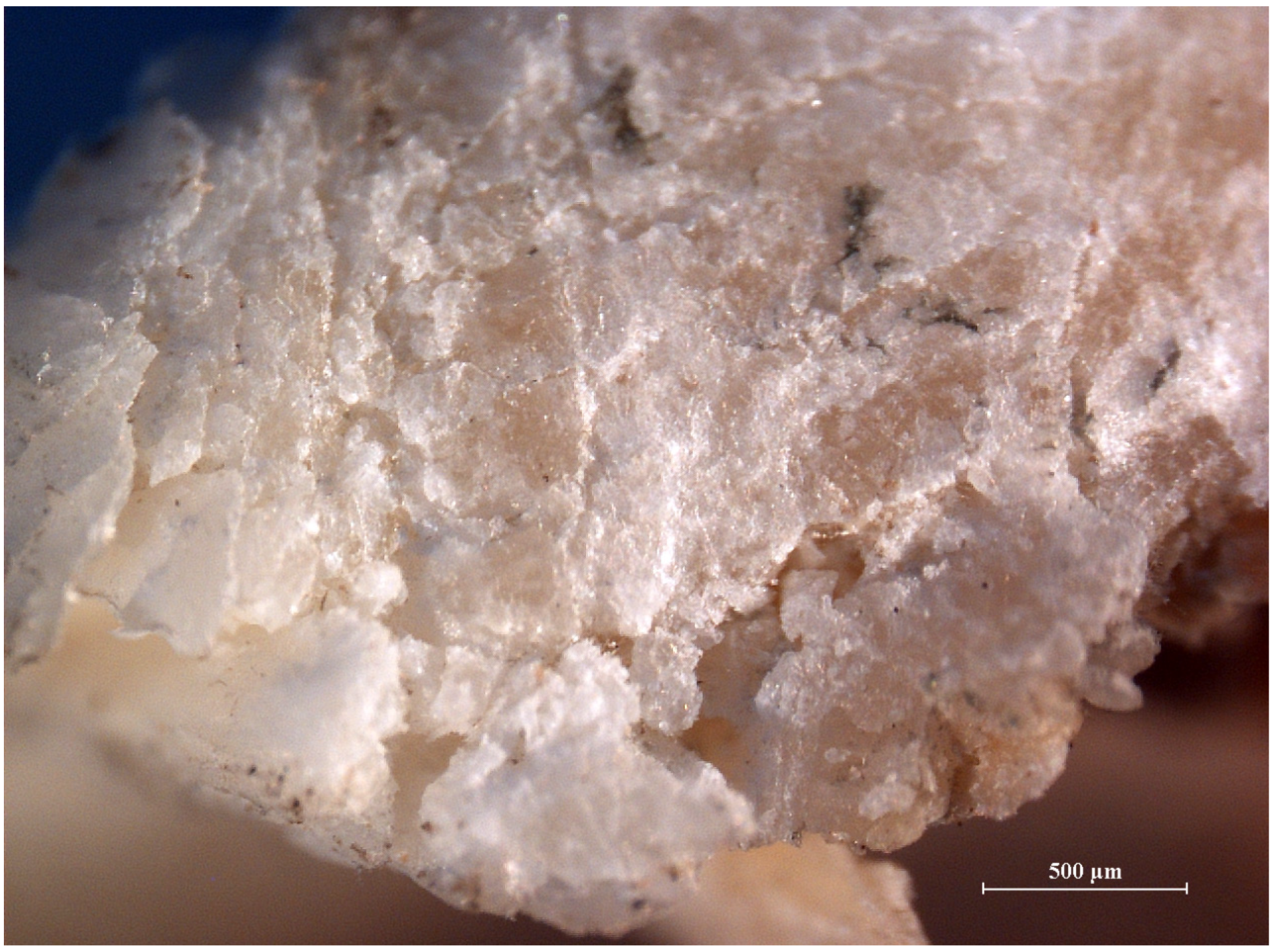 Humans 05 00014 g014