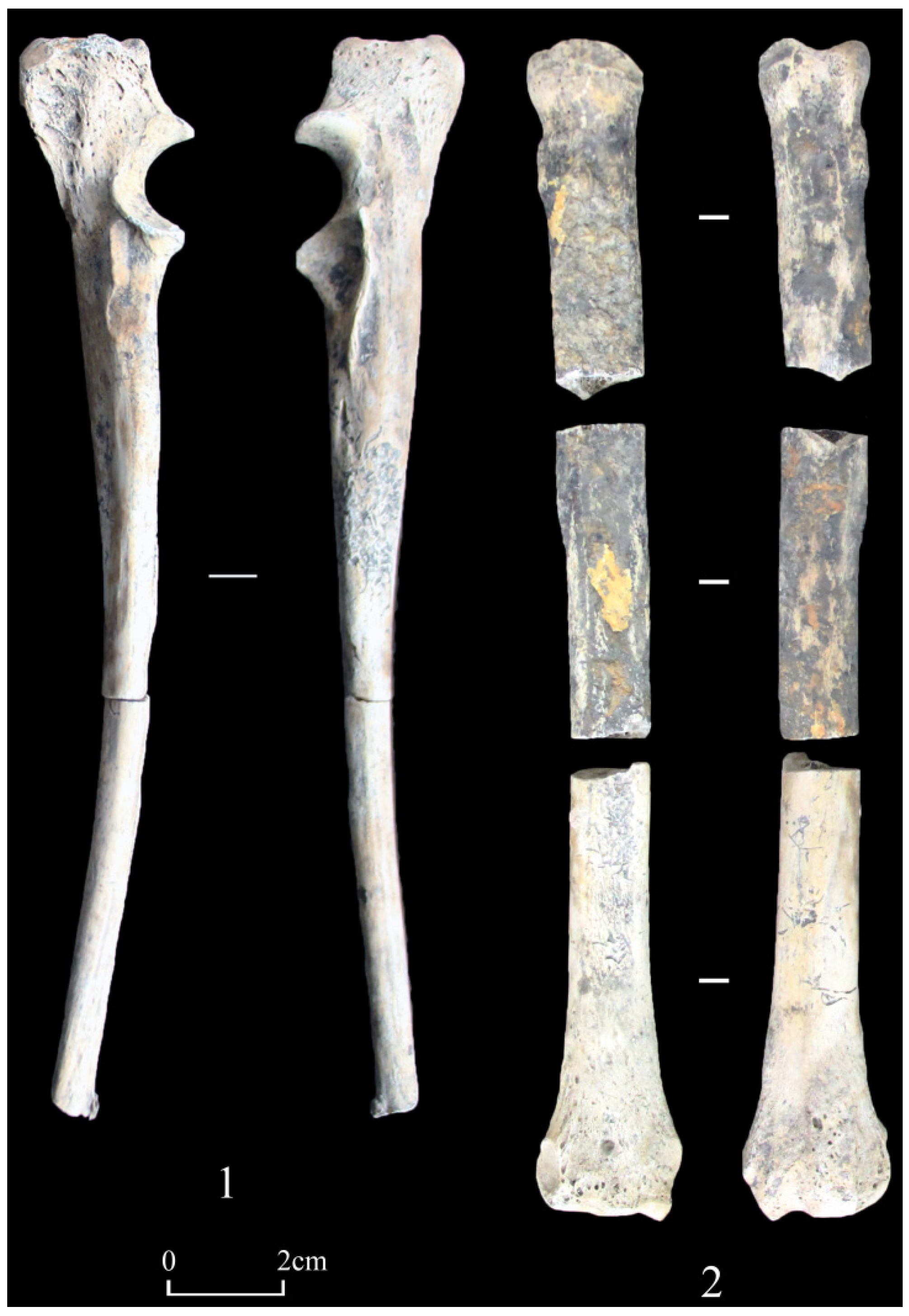 Humans 05 00014 g017