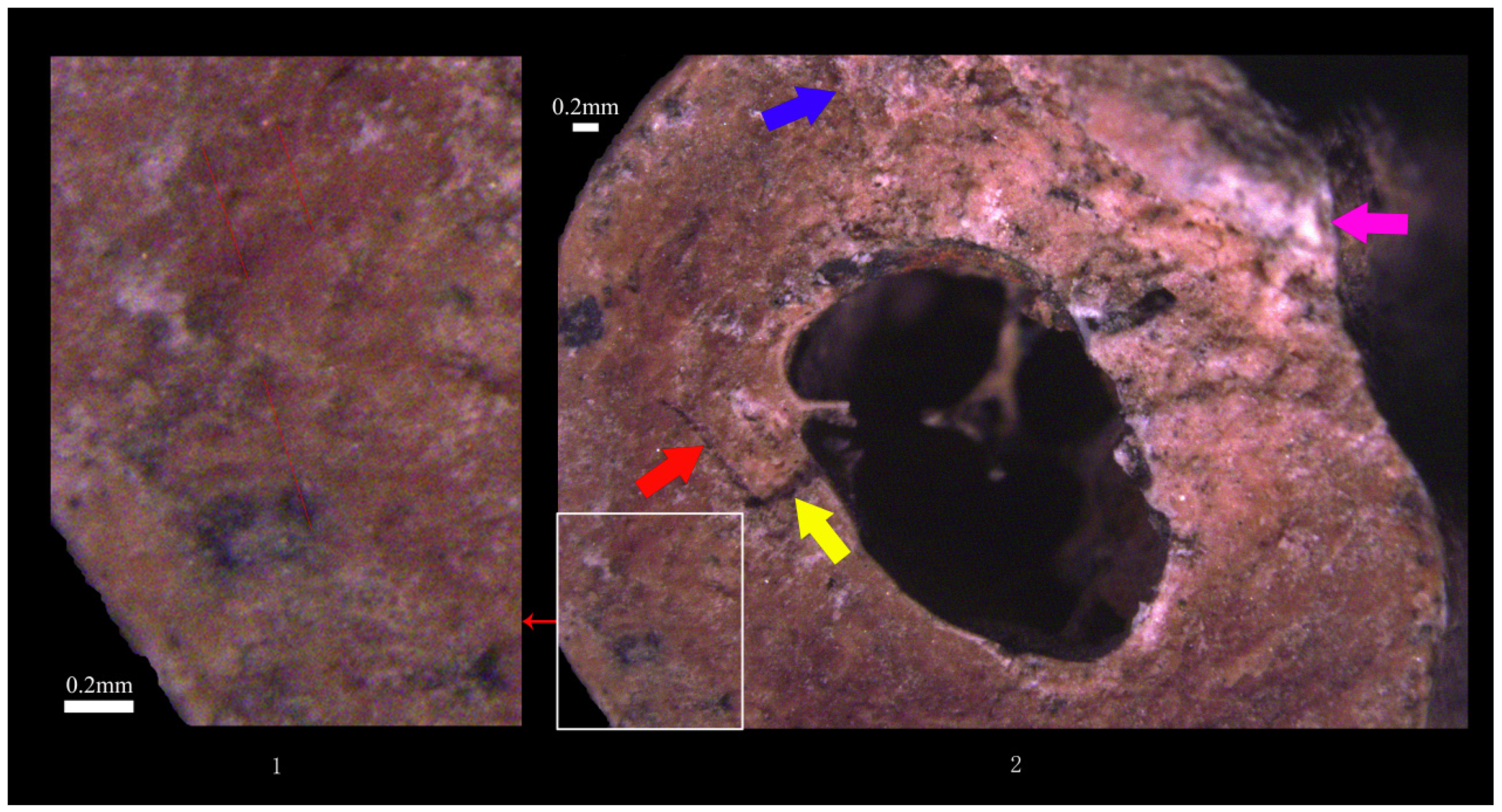 Humans 05 00014 g018