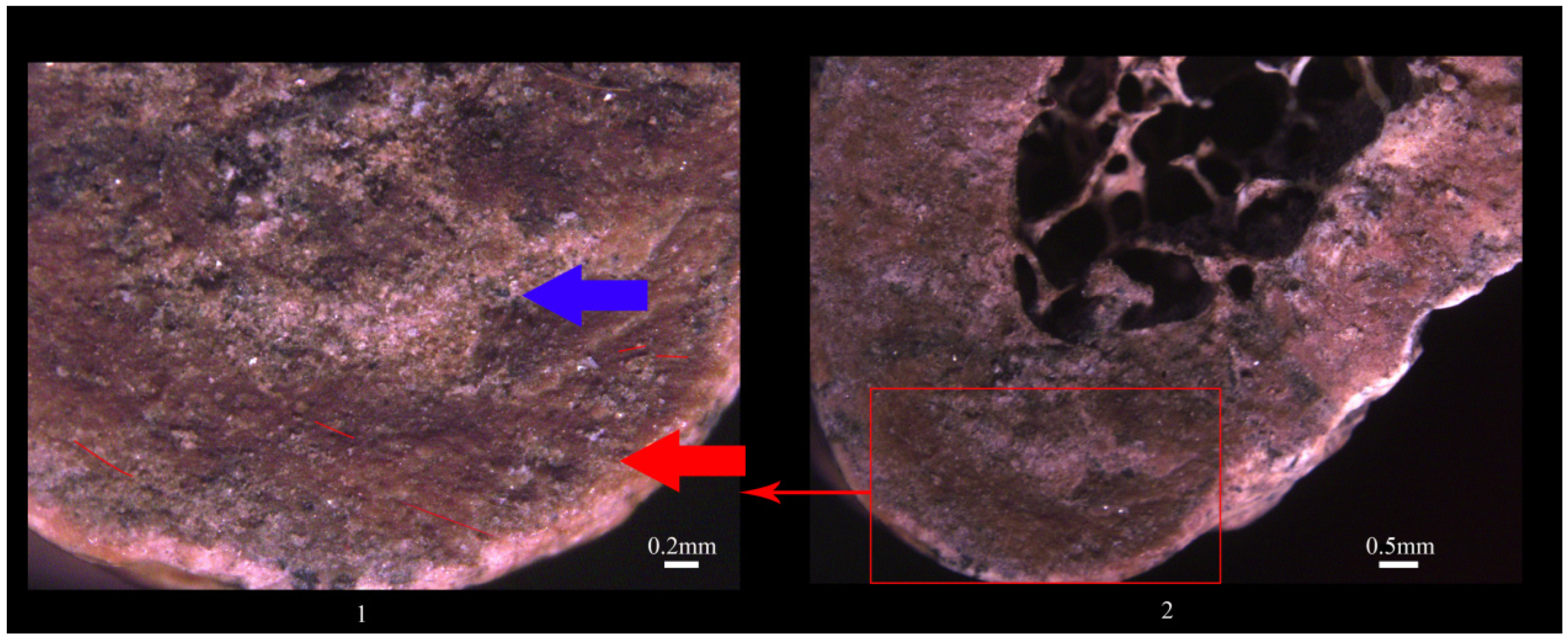Humans 05 00014 g019