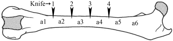 Humans 05 00014 i001