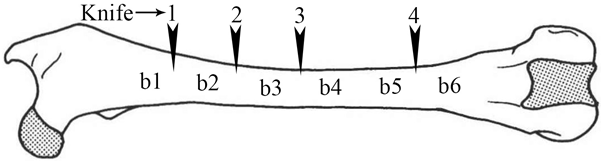 Humans 05 00014 i002