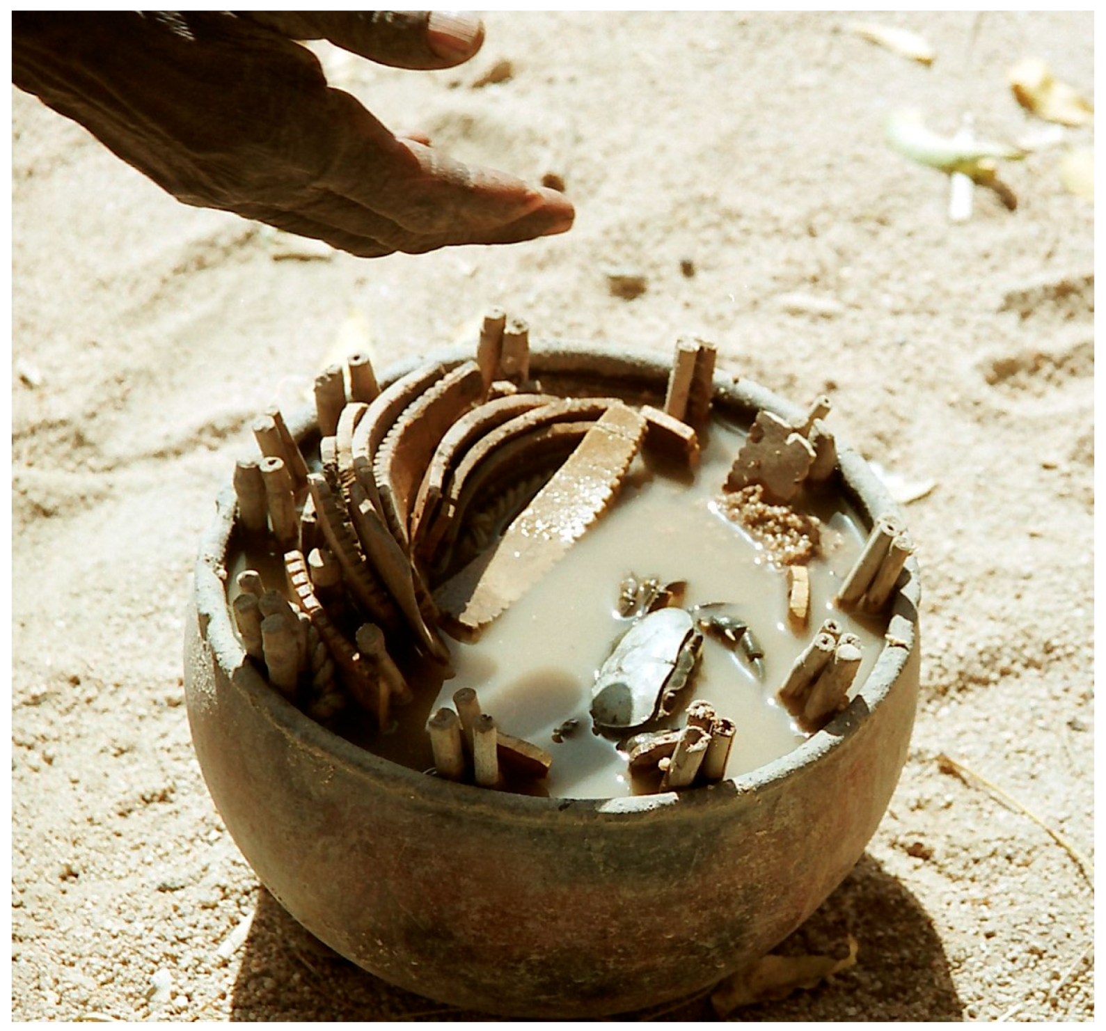 Humans 05 00020 g004