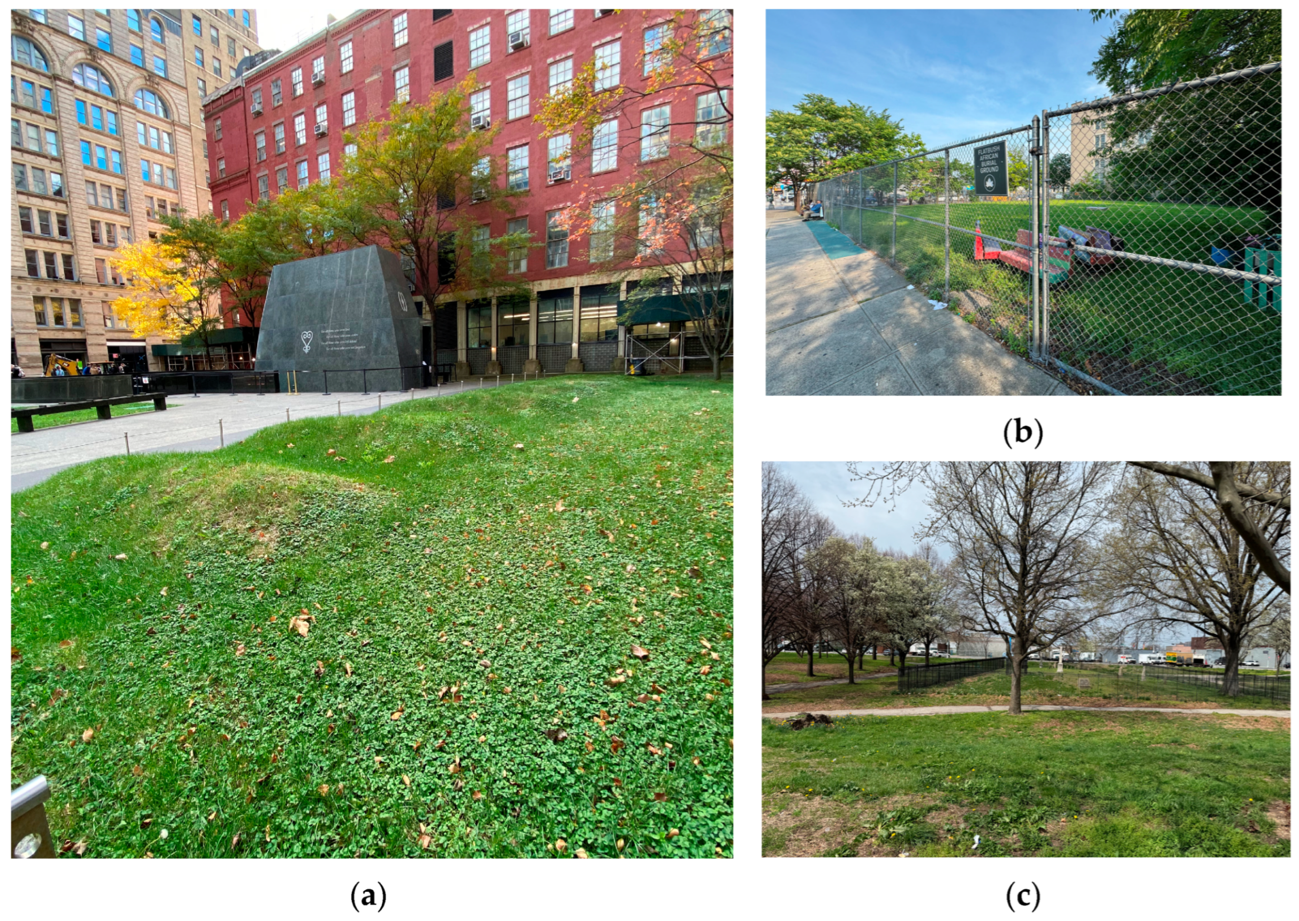 Humans 05 00025 g002 Humans 05 00025 g002