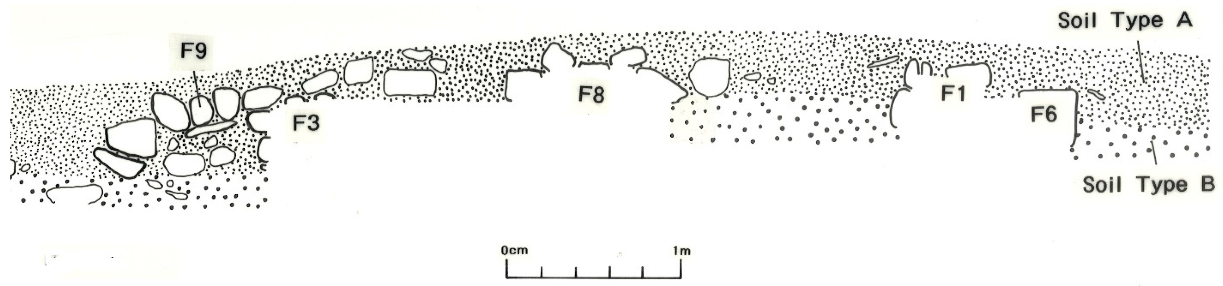 Humans 05 00032 g004