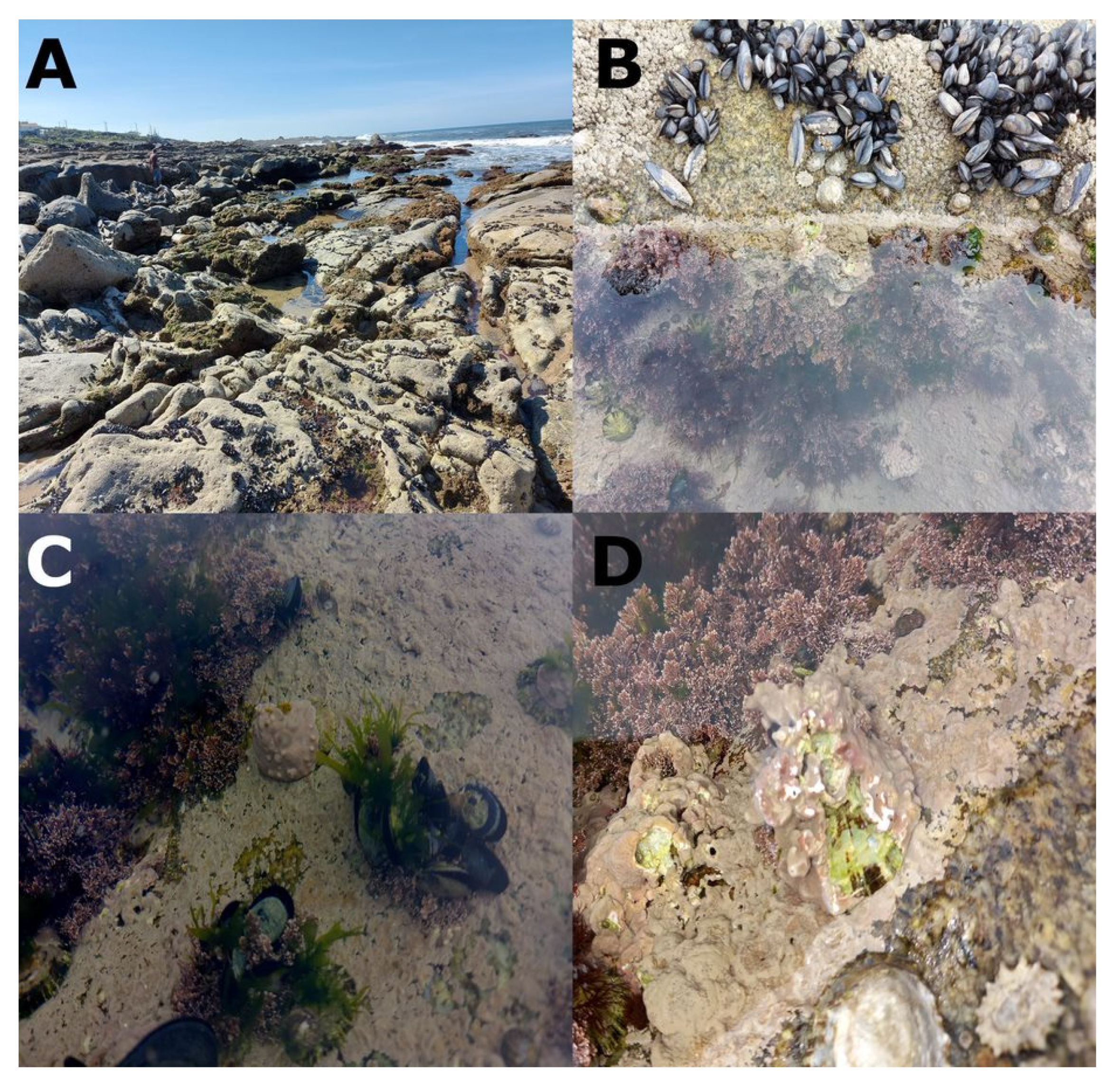Hydrobiology 01 00003 g002 Hydrobiology 01 00003 g002
