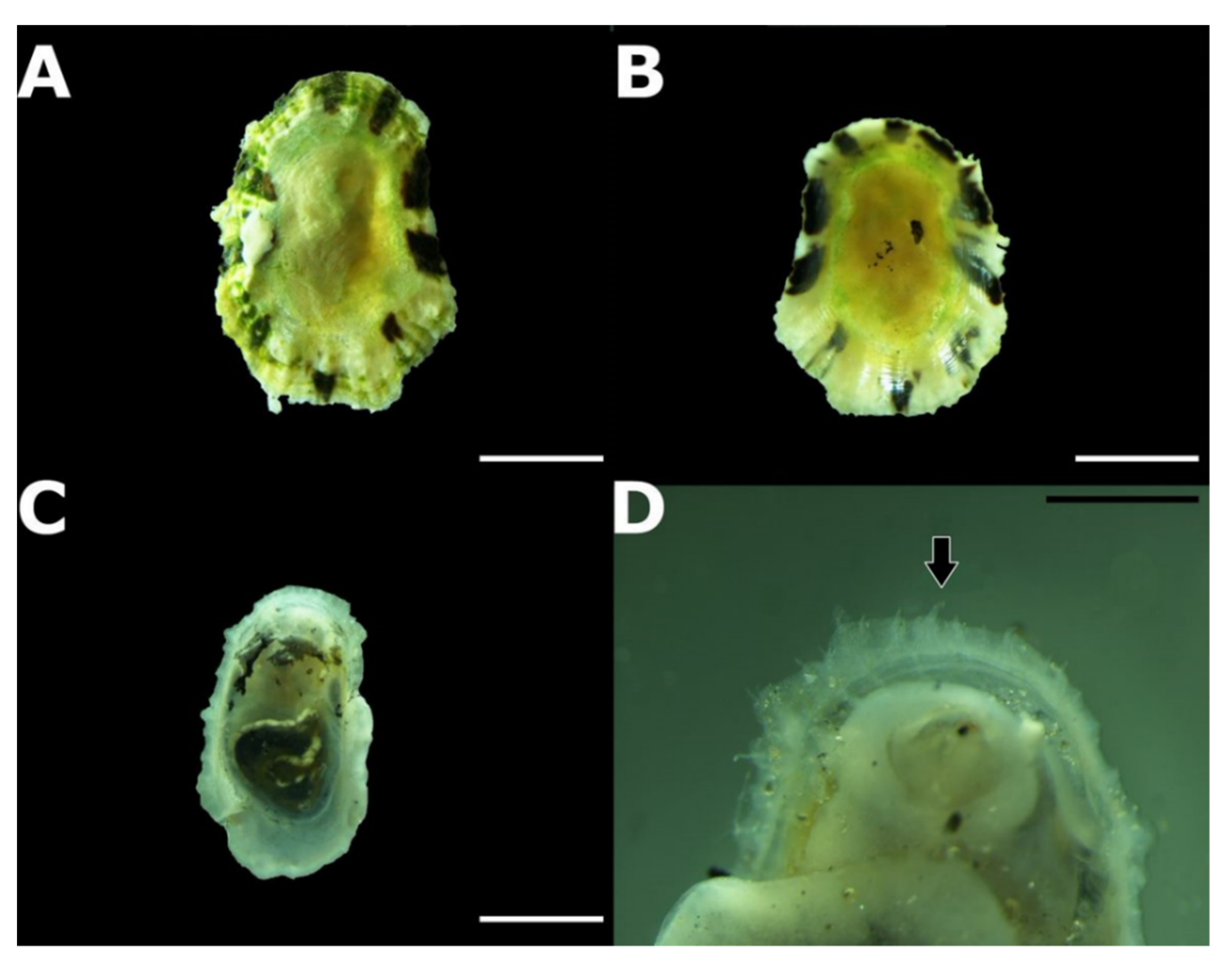Hydrobiology 01 00003 g003 Hydrobiology 01 00003 g003