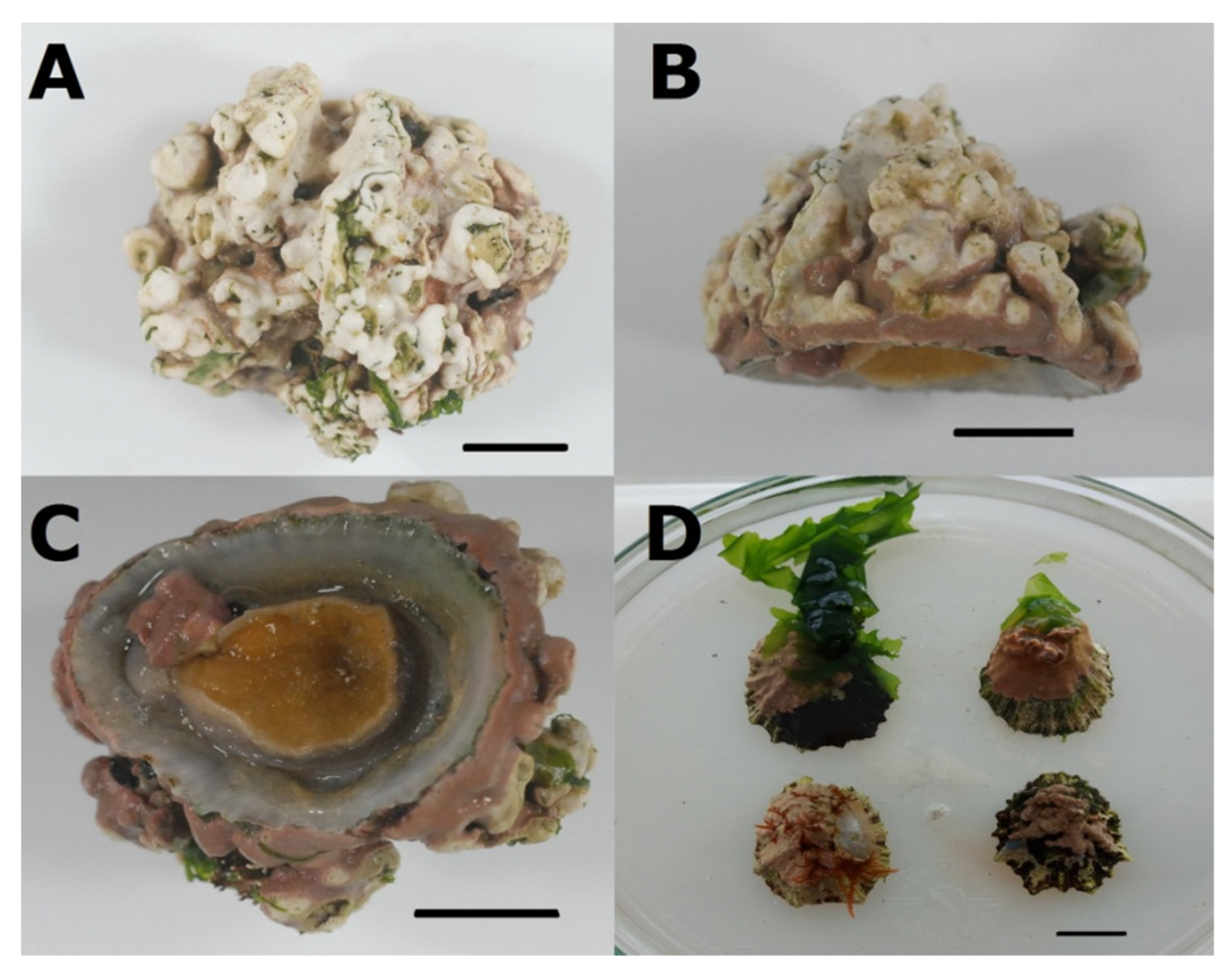 Hydrobiology 01 00003 g006 Hydrobiology 01 00003 g006
