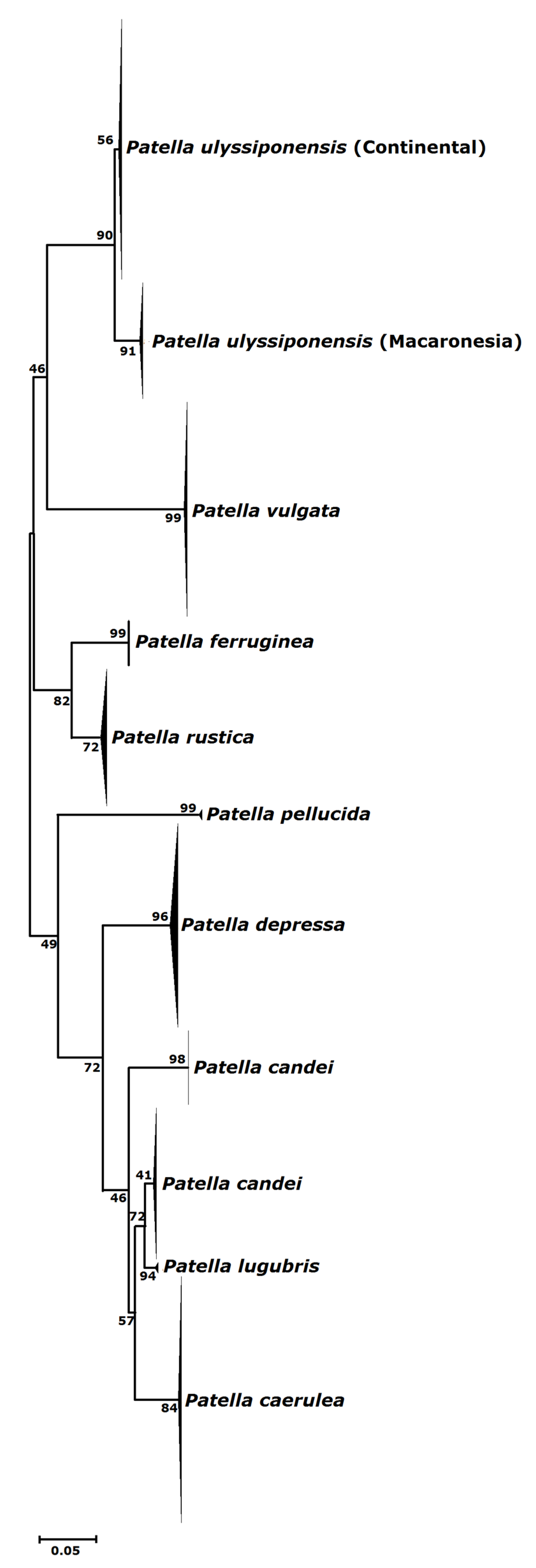 Hydrobiology 01 00003 g009 Hydrobiology 01 00003 g009