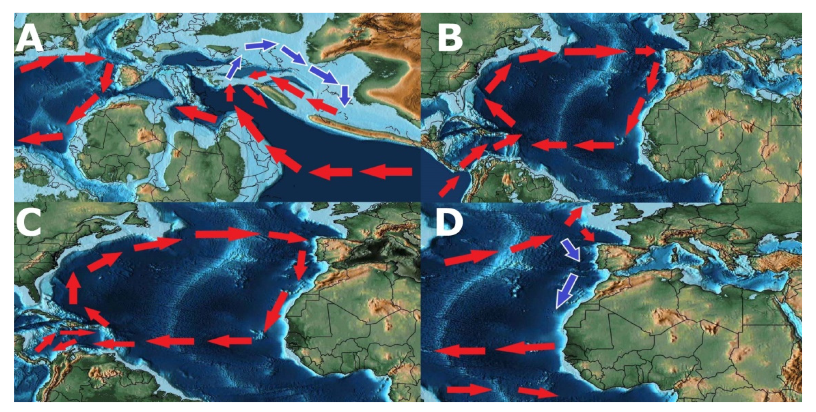 Hydrobiology 01 00003 g013 Hydrobiology 01 00003 g013