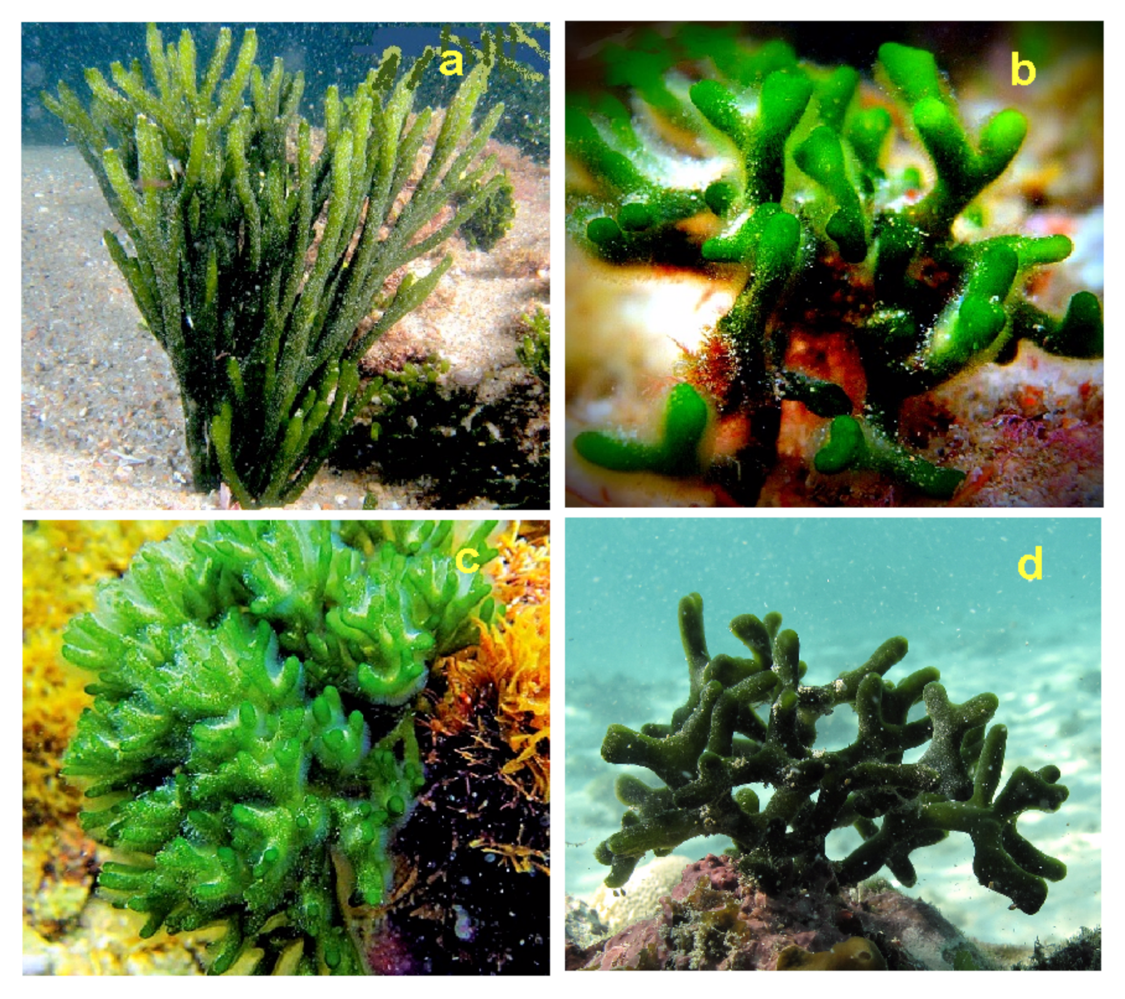 Hydrobiology 01 00007 g008