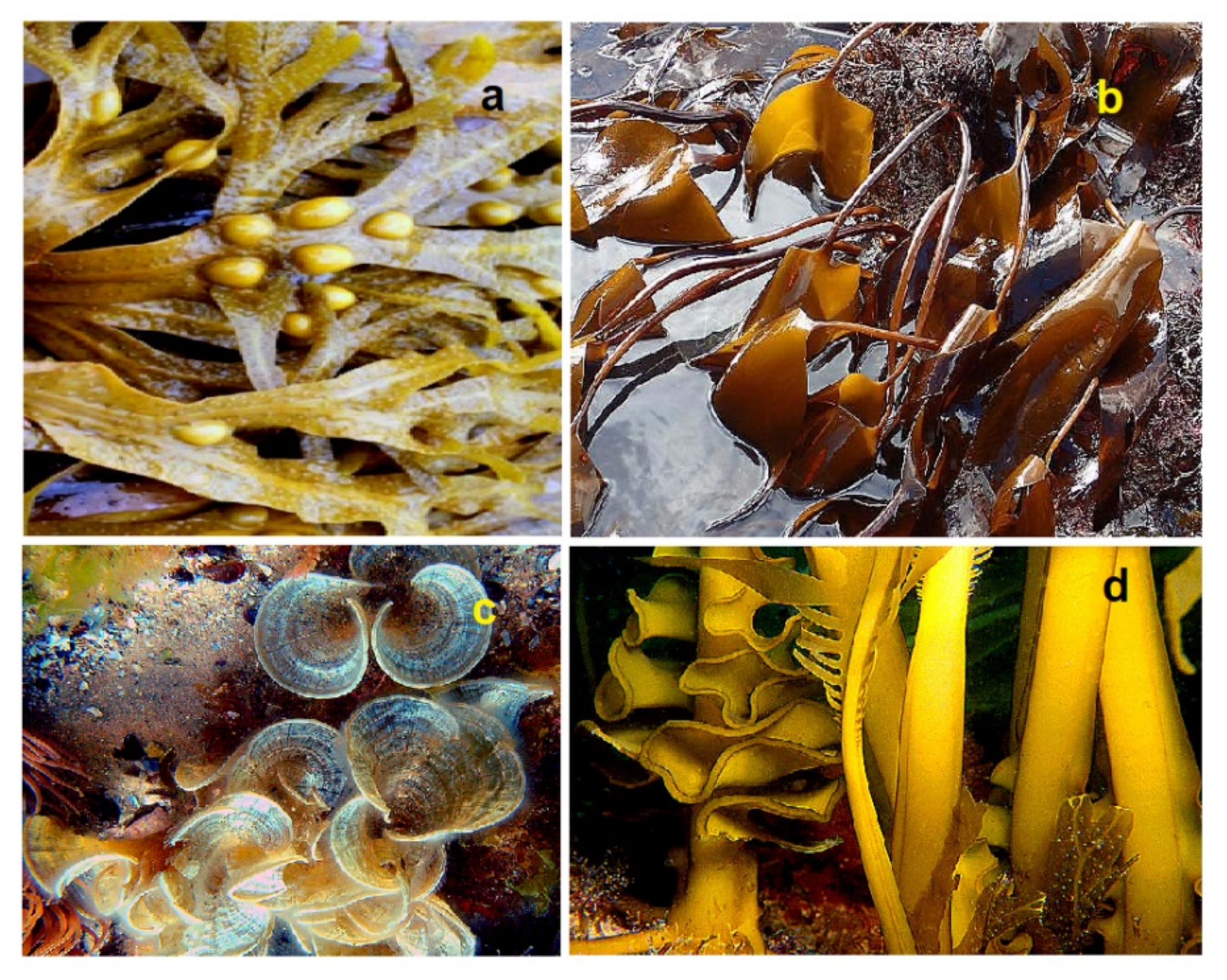 Hydrobiology 01 00007 g009