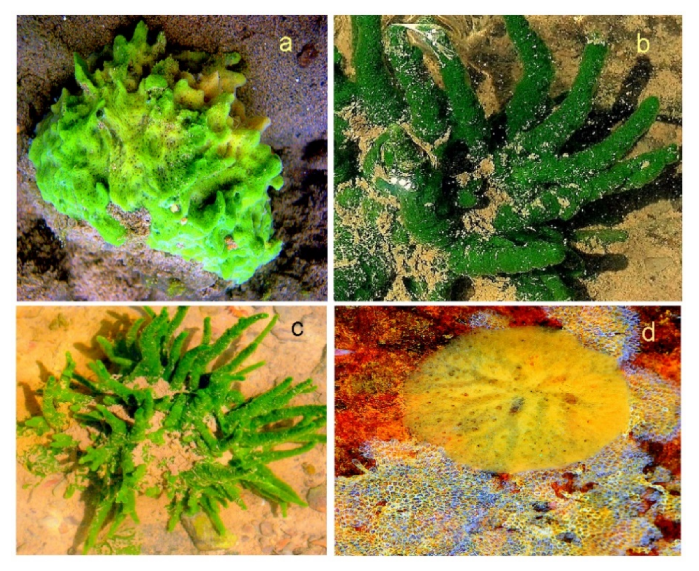 Hydrobiology 01 00007 g012