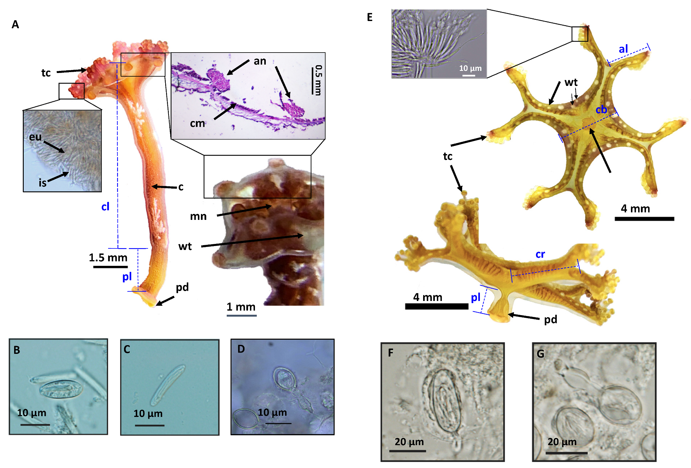 Hydrobiology 01 00019 g005