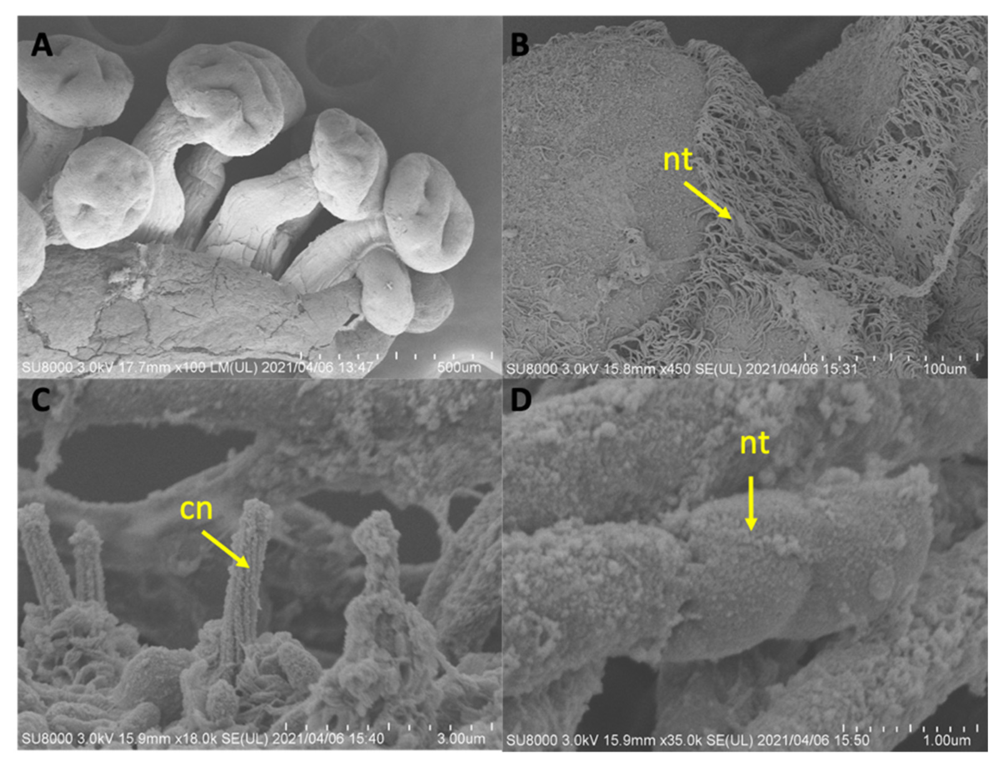 Hydrobiology 01 00019 g007
