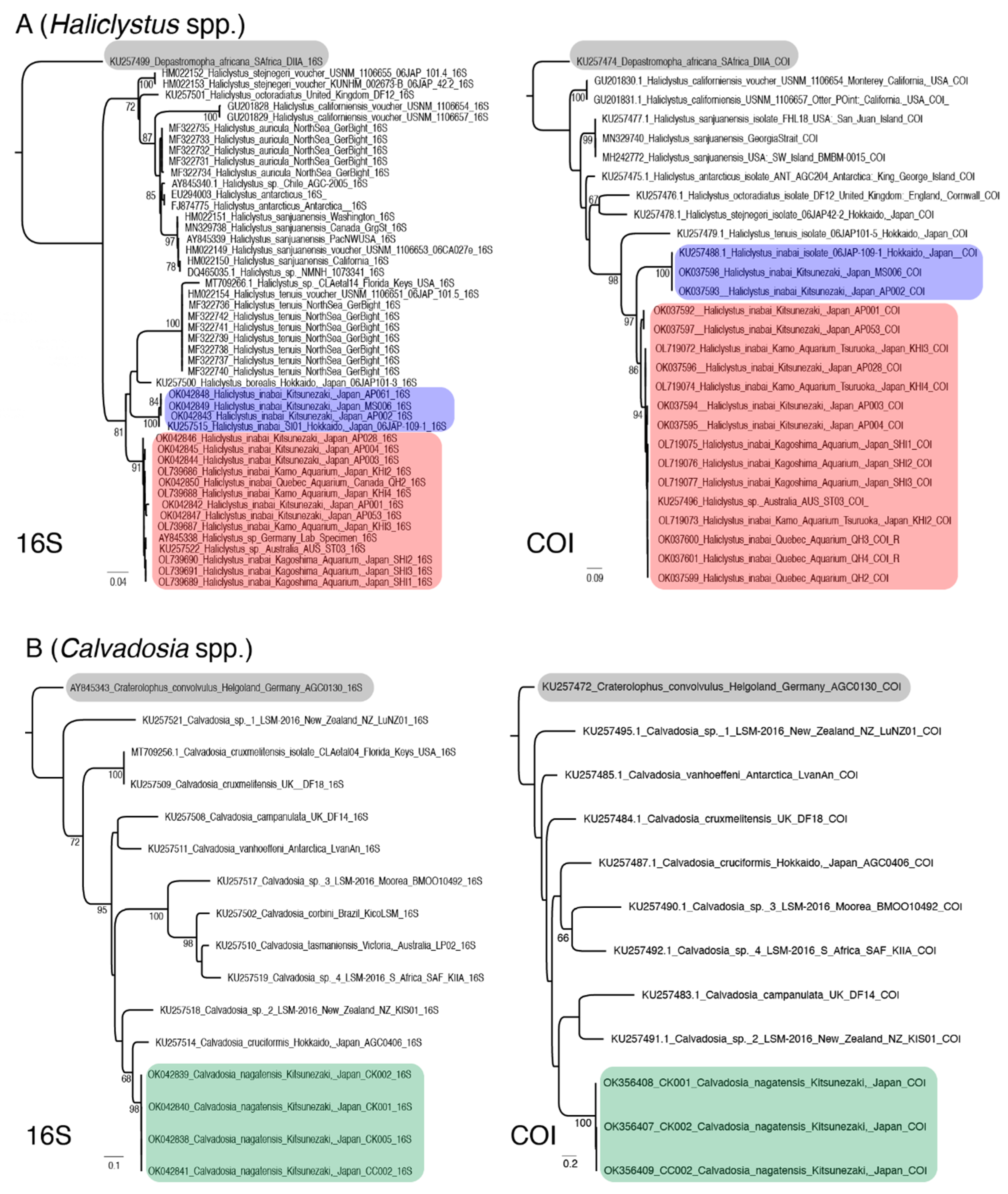 Hydrobiology 01 00019 g008