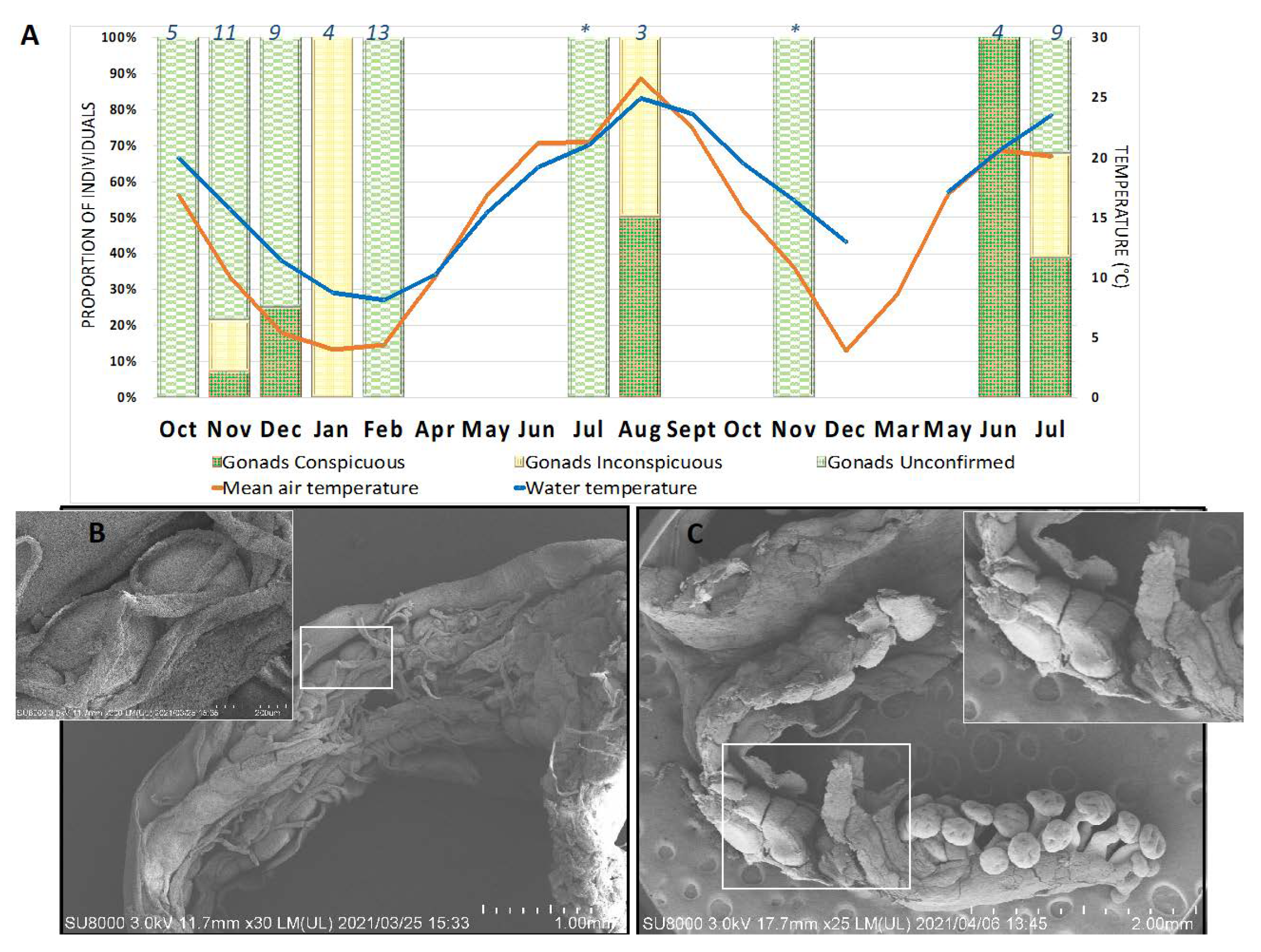 Hydrobiology 01 00019 g010