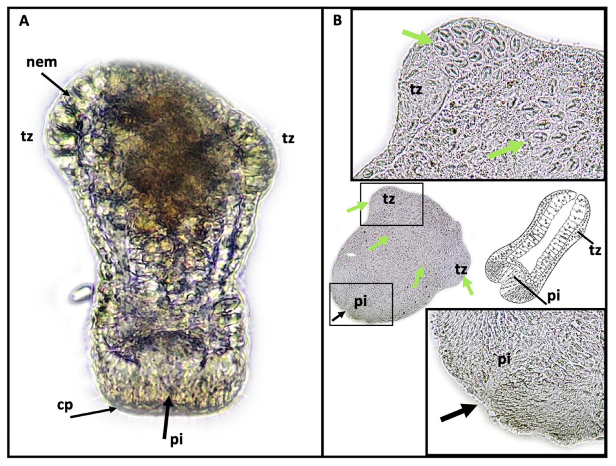 Hydrobiology 01 00019 g012