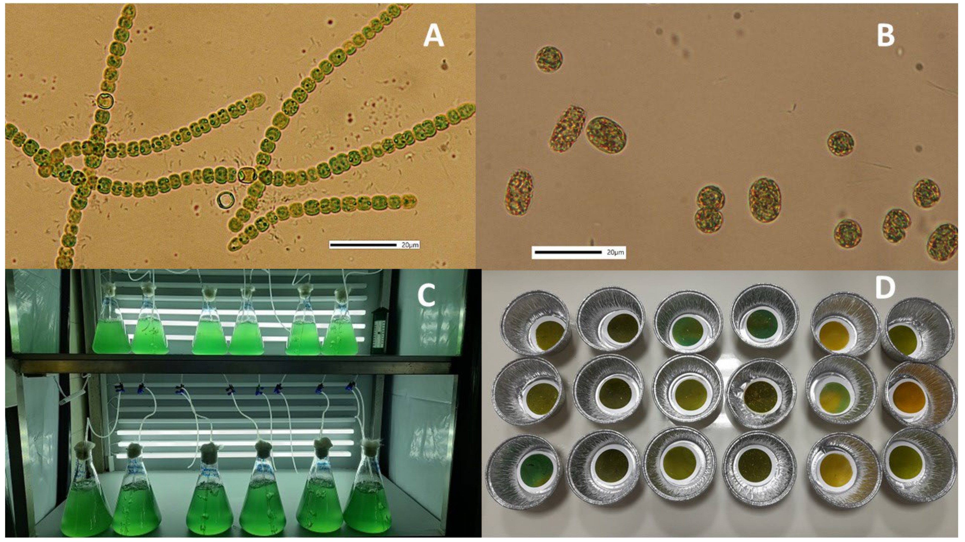 Hydrobiology 01 00020 g001 Hydrobiology 01 00020 g001