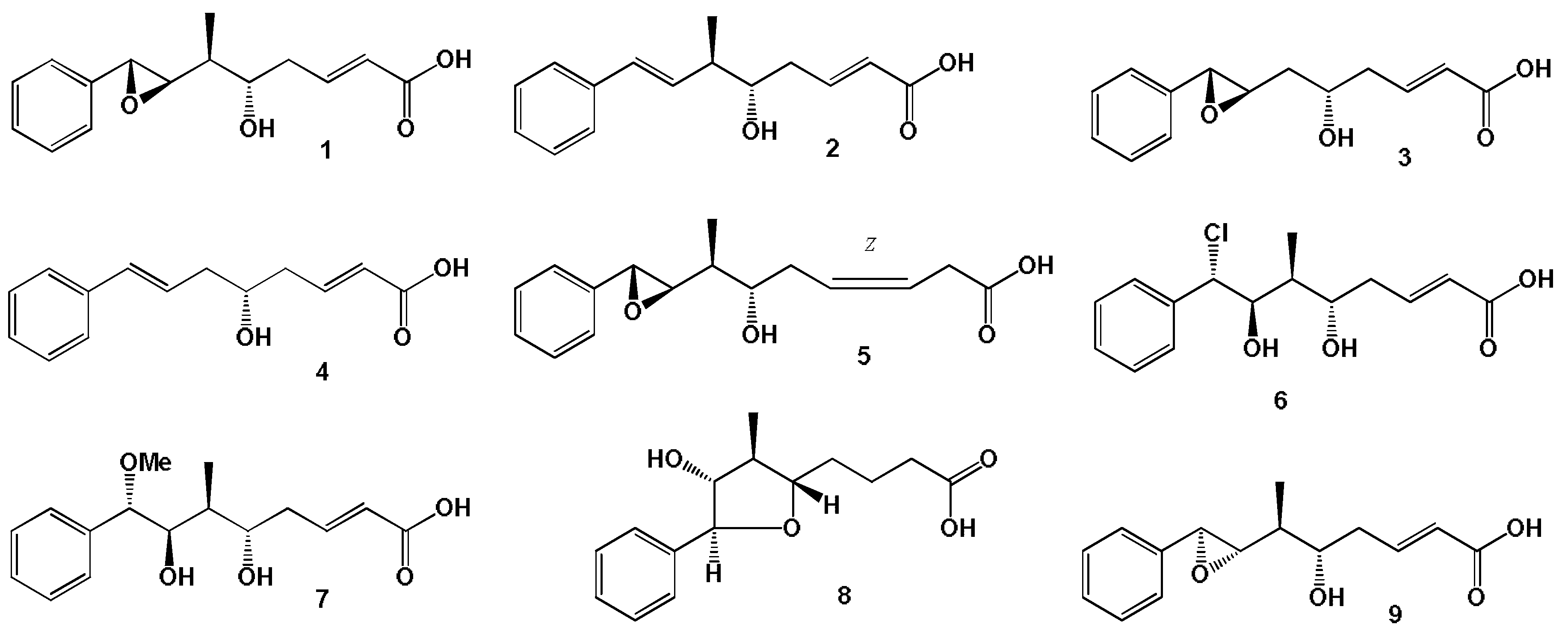 Hydrobiology 01 00024 g003 Hydrobiology 01 00024 g003