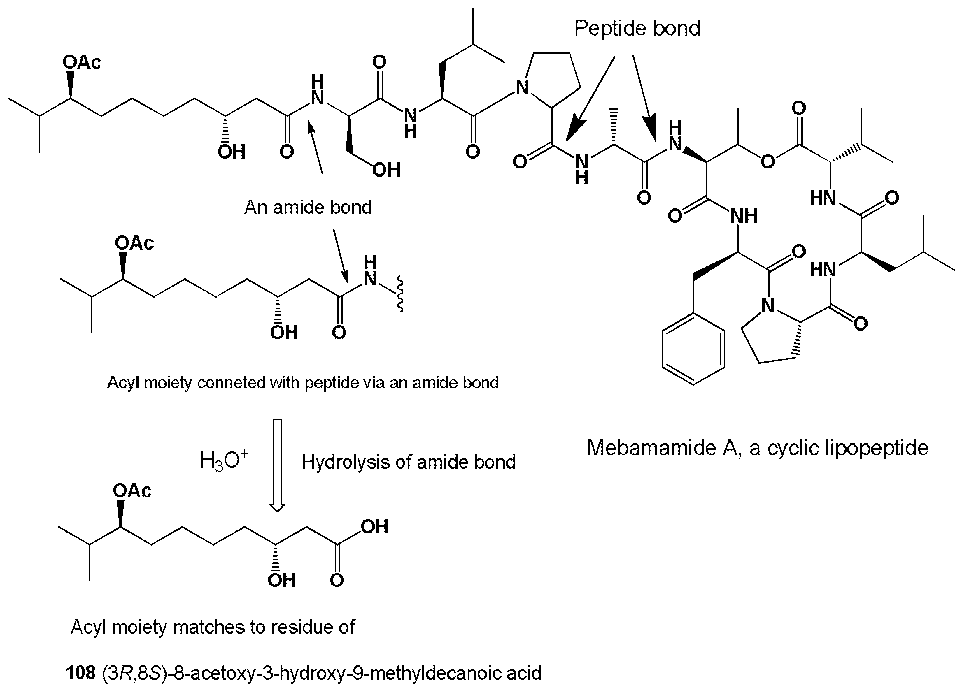 Hydrobiology 01 00024 g026 Hydrobiology 01 00024 g026