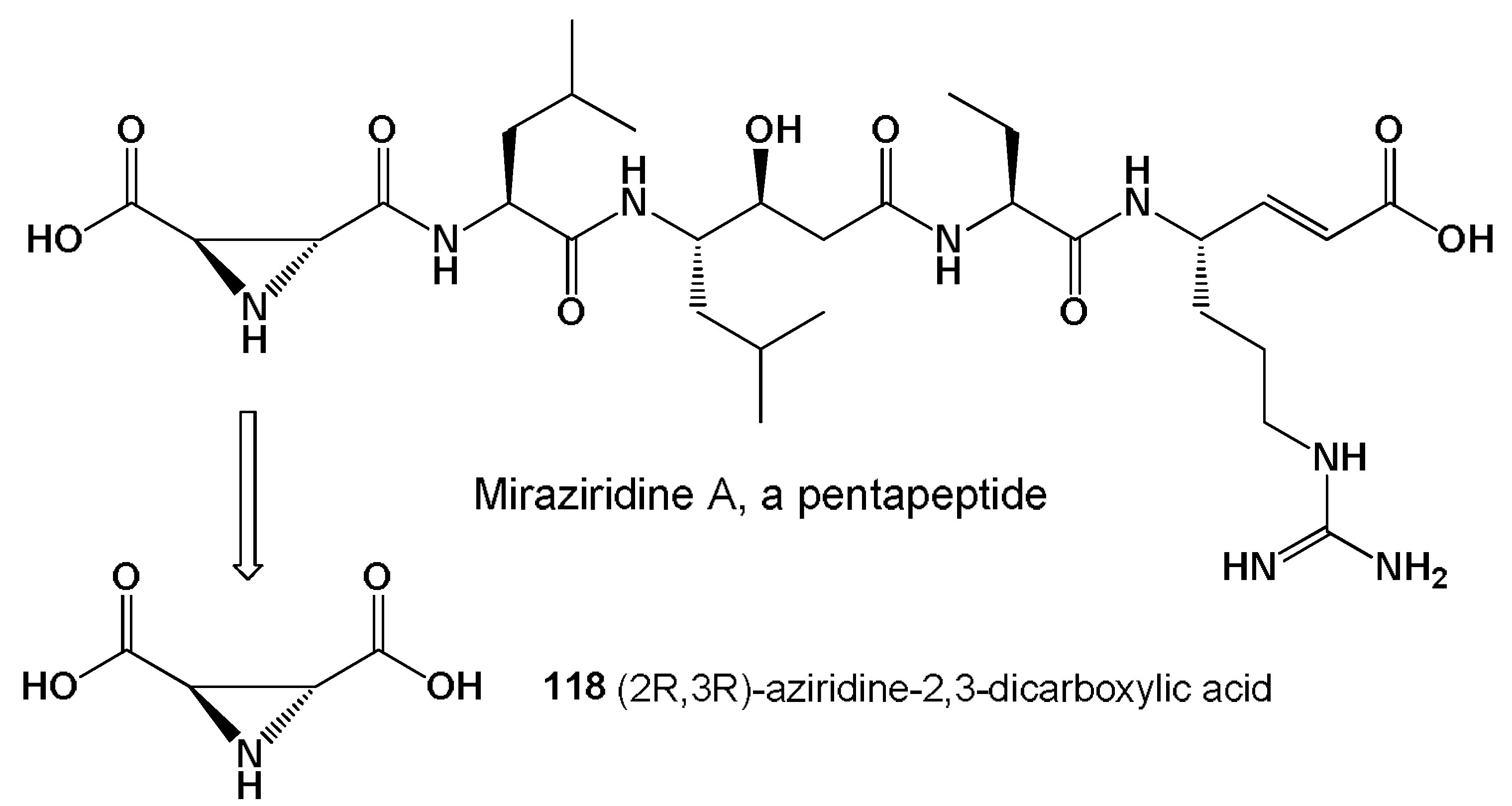 Hydrobiology 01 00024 g030 Hydrobiology 01 00024 g030
