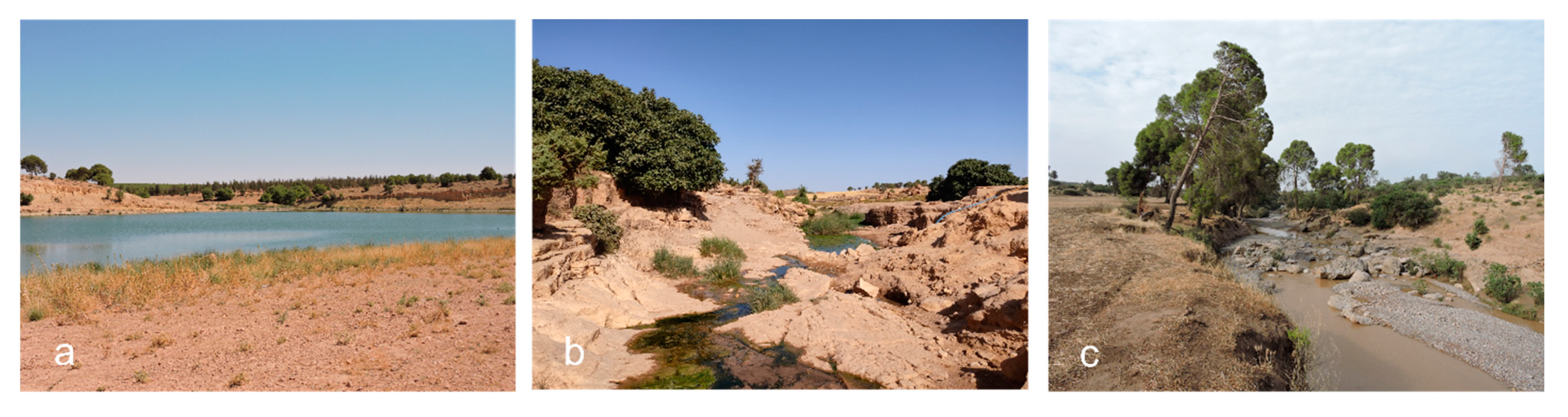 Hydrobiology 01 00025 g002 Hydrobiology 01 00025 g002