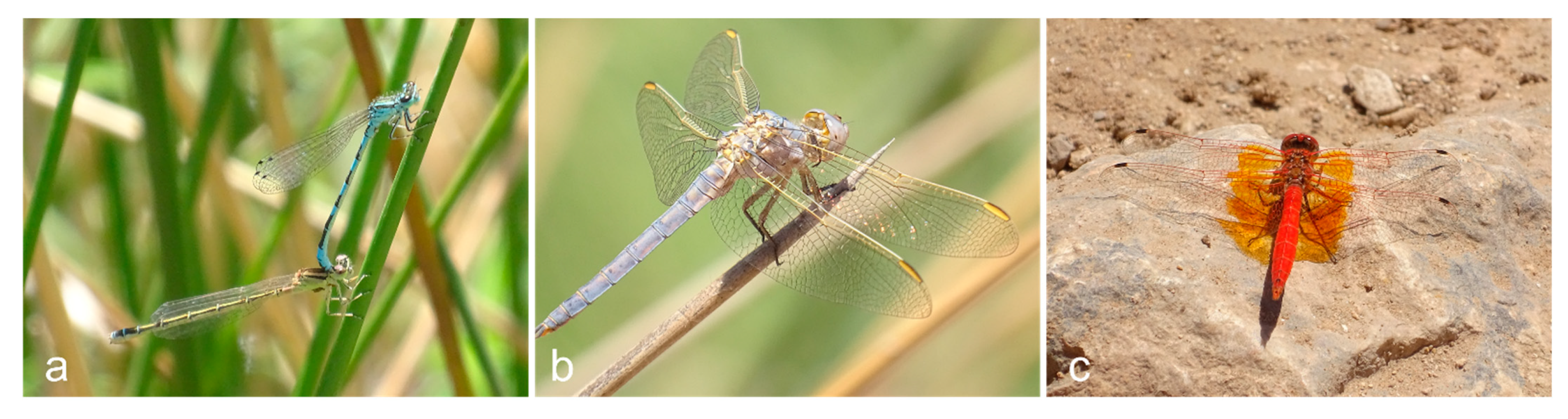 Hydrobiology 01 00025 g003 Hydrobiology 01 00025 g003