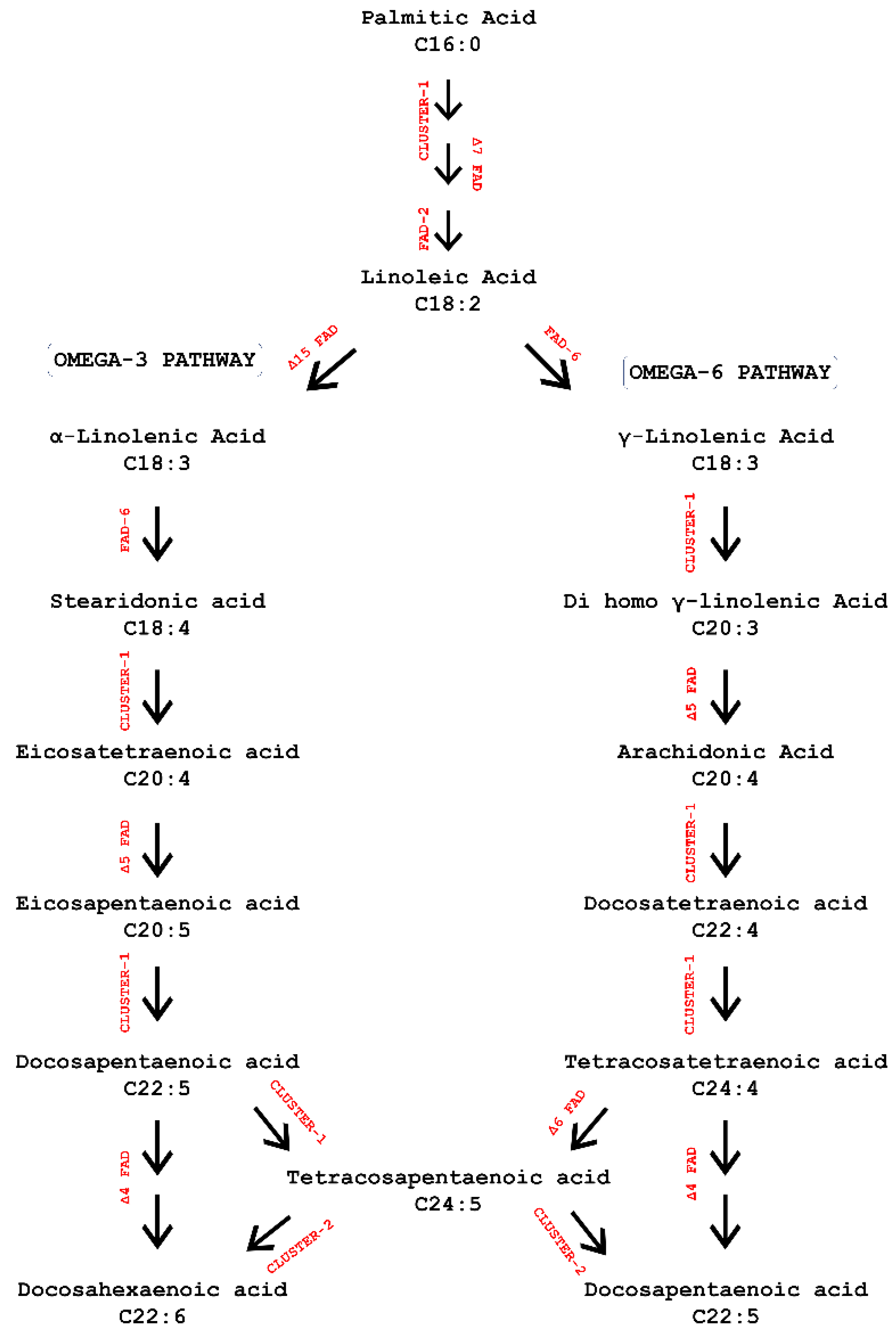 Hydrobiology 01 00027 g001 Hydrobiology 01 00027 g001