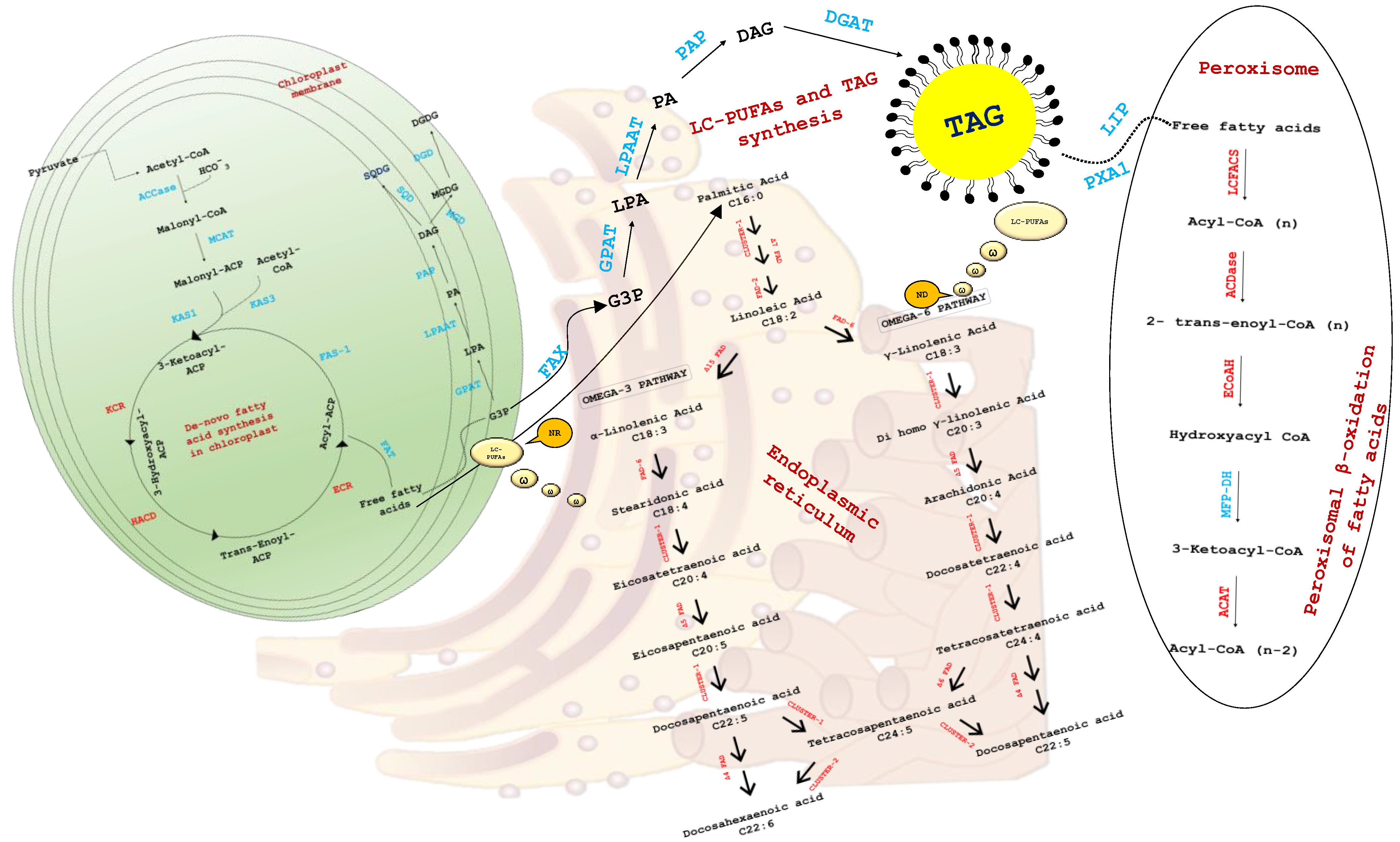 Hydrobiology 01 00027 g006 Hydrobiology 01 00027 g006