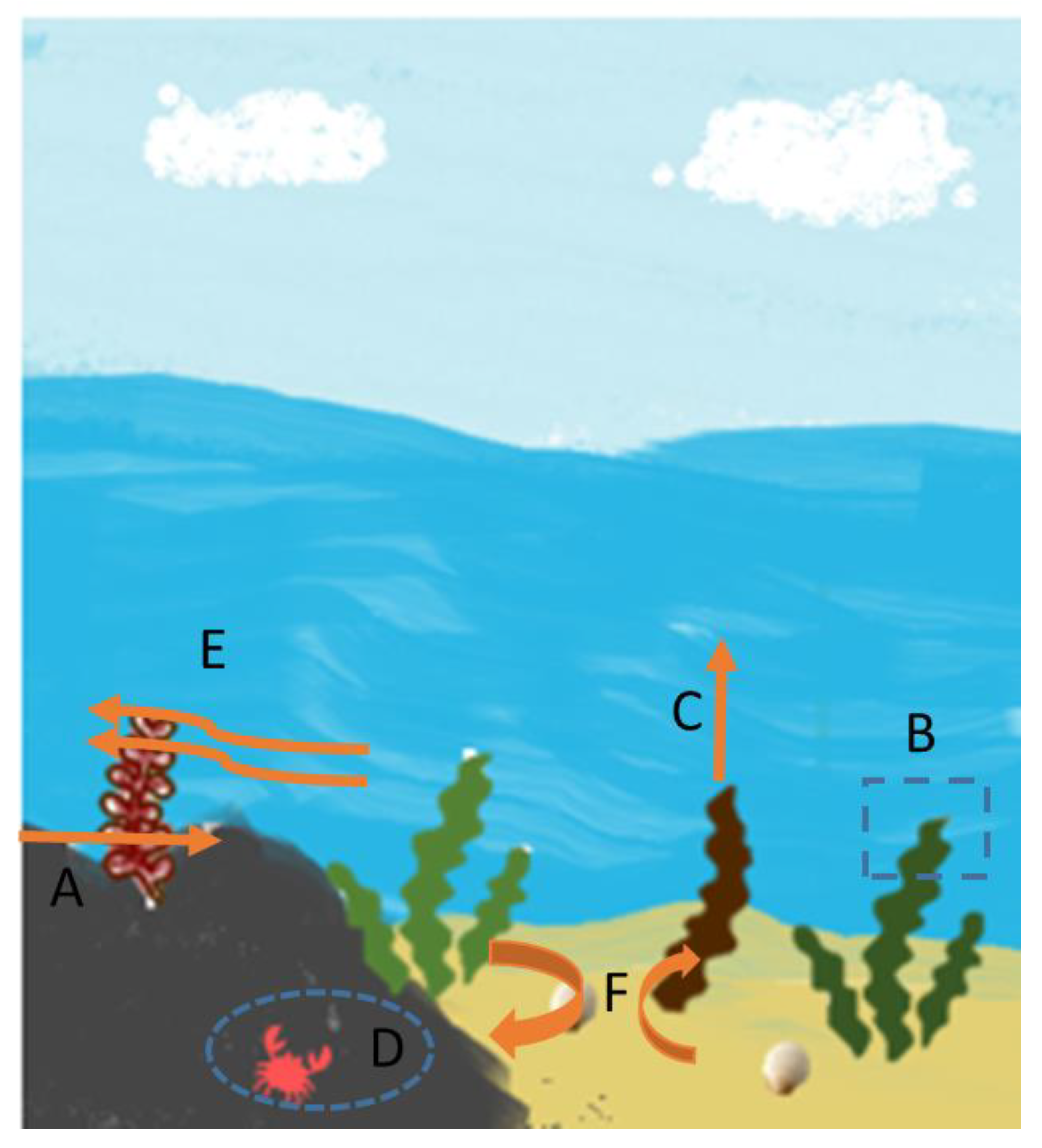 Hydrobiology | Free Full-Text | Ecosystem Services Provided by