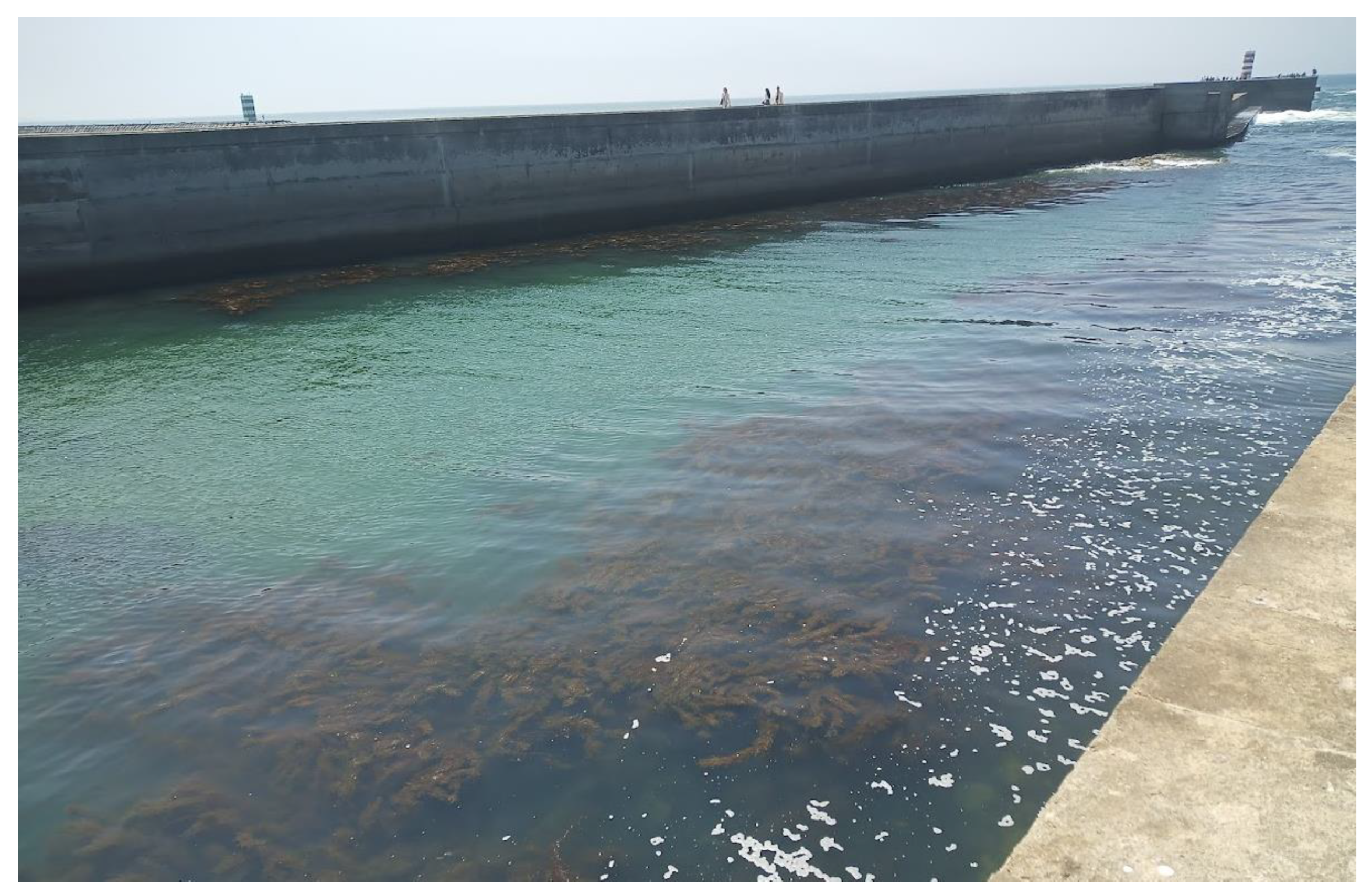 Hydrobiology 02 00006 g003