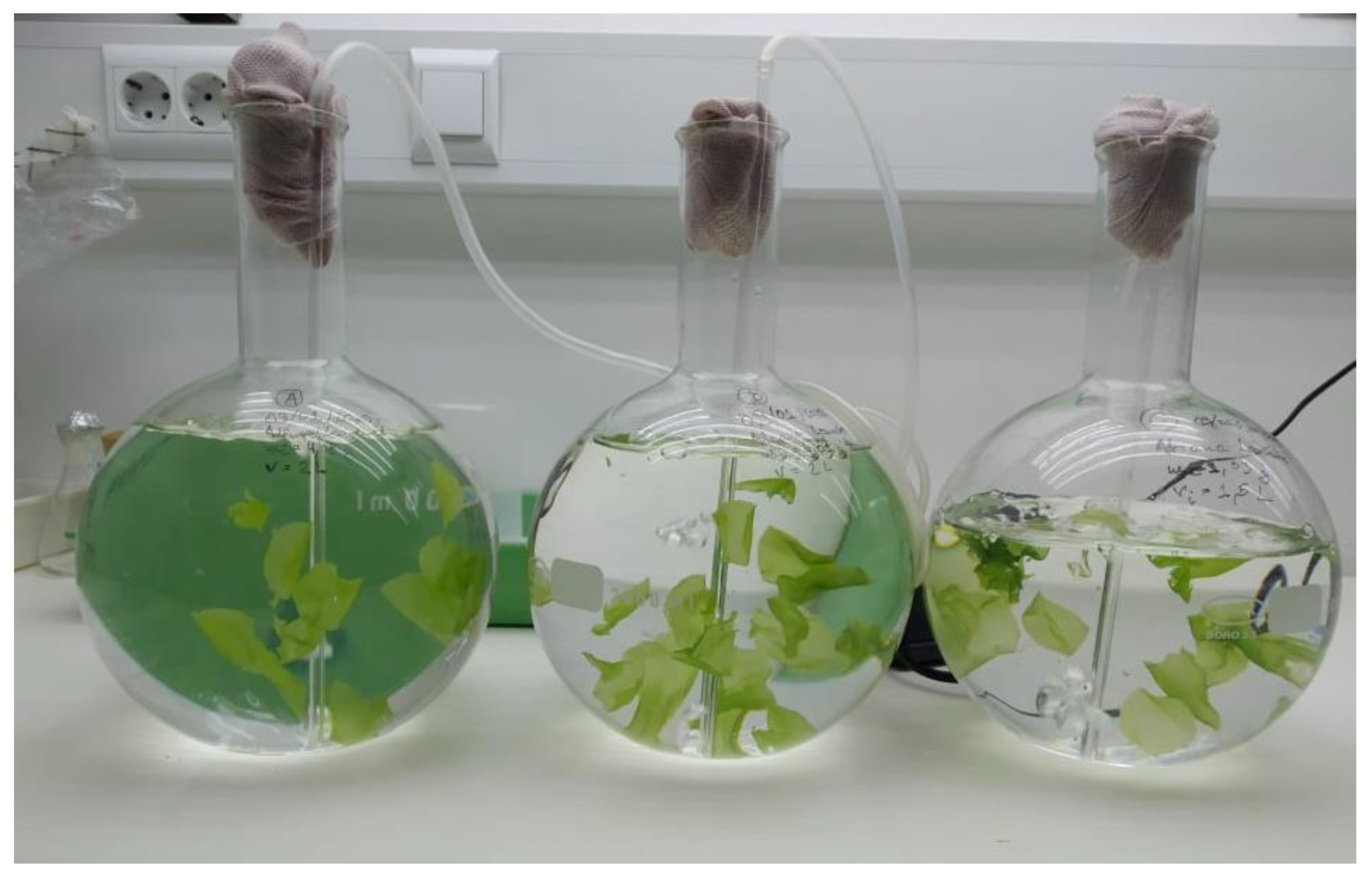 Hydrobiology 02 00006 g004