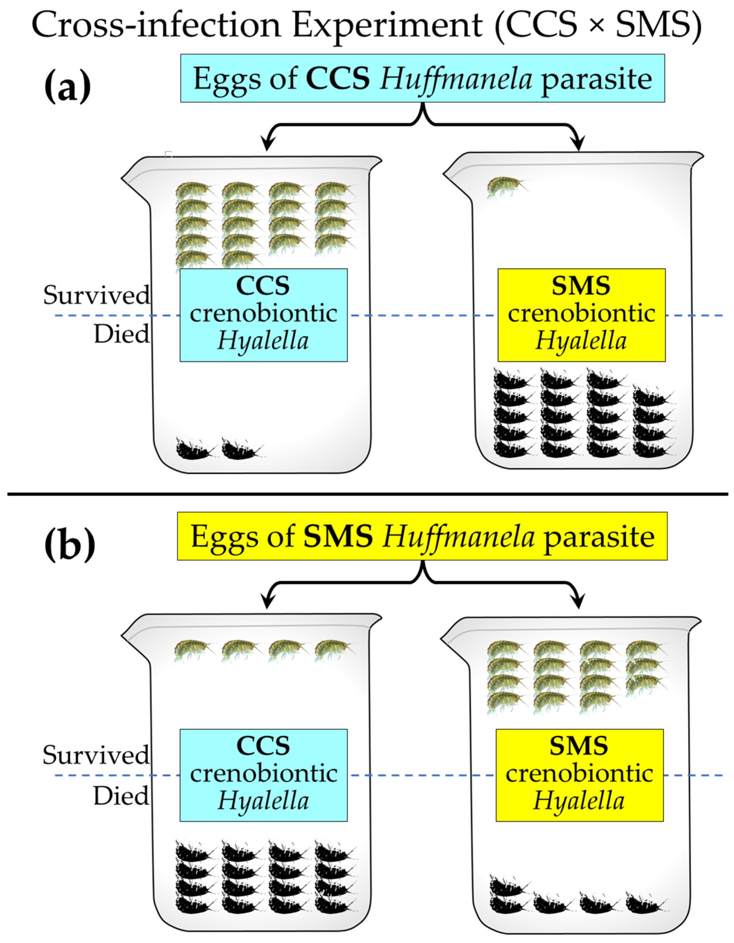 Hydrobiology 02 00007 g009 Hydrobiology 02 00007 g009