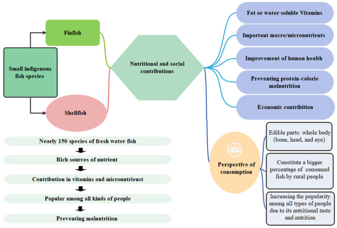 Hydrobiology 02 00014 g002 Hydrobiology 02 00014 g002