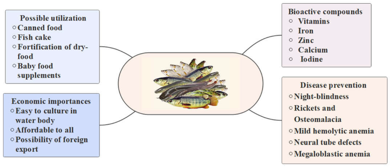 Hydrobiology 02 00014 g003 Hydrobiology 02 00014 g003