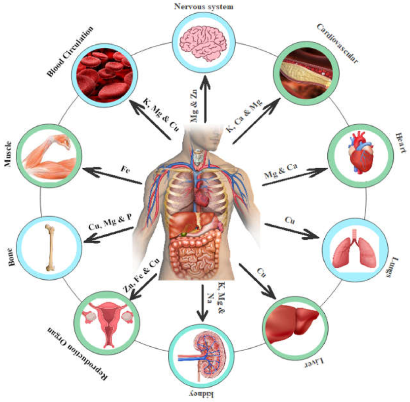 Hydrobiology 02 00014 g006