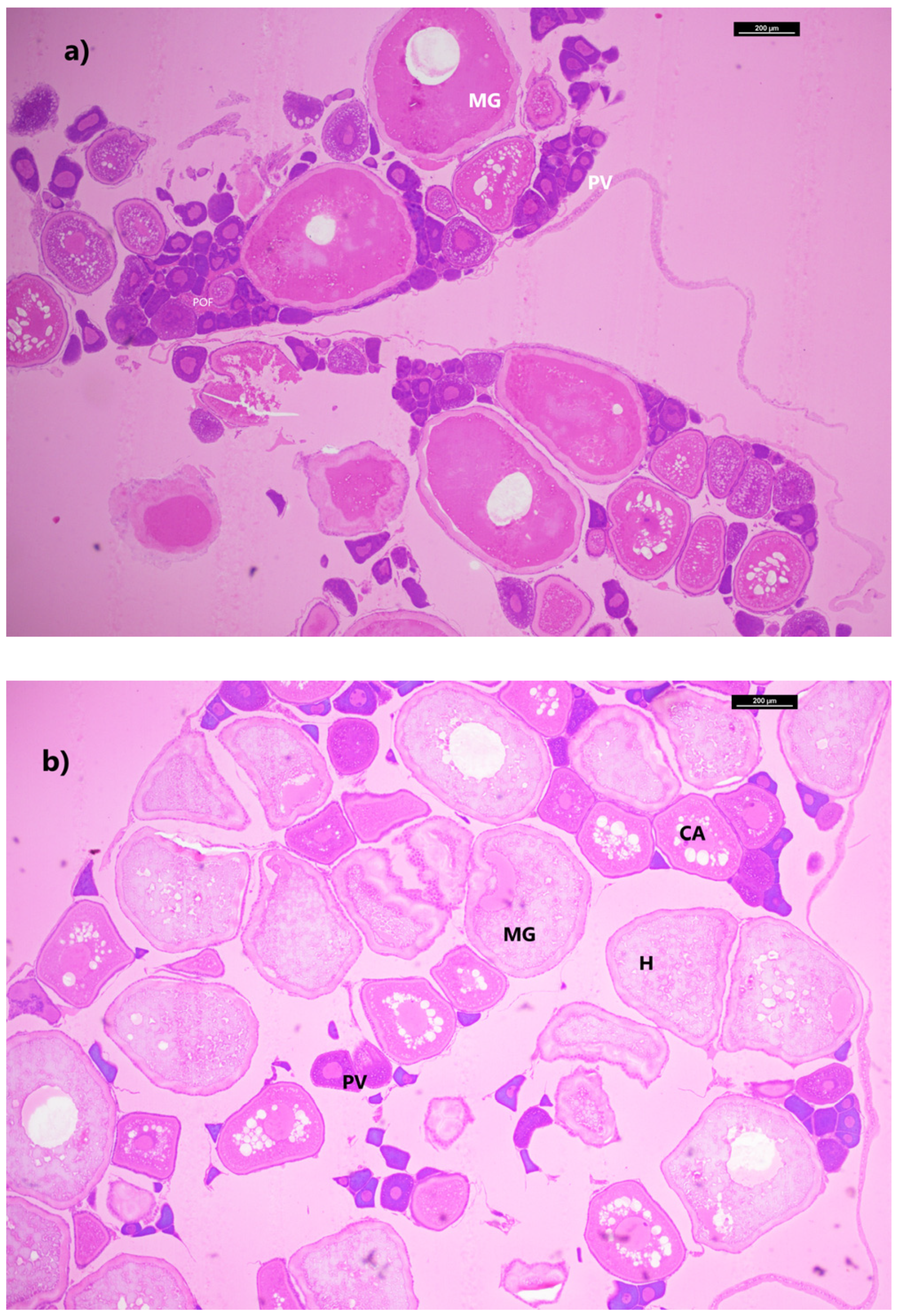 Hydrobiology 02 00019 g006a