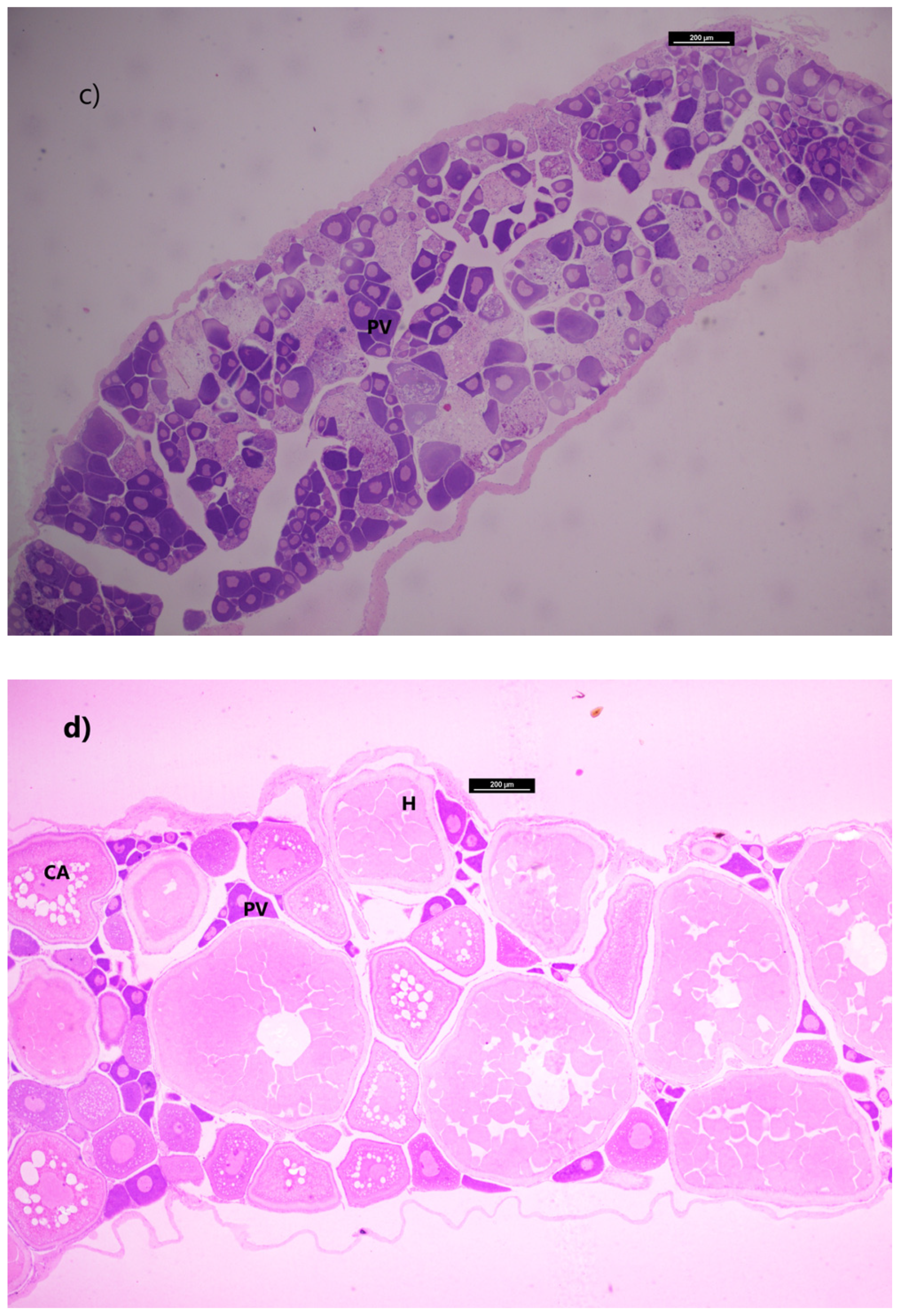 Hydrobiology 02 00019 g006b