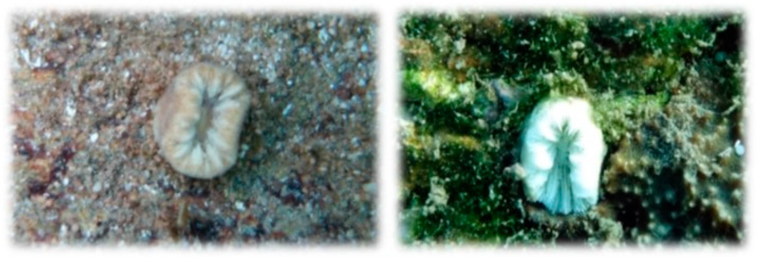 Hydrobiology 02 00020 g002 Hydrobiology 02 00020 g002