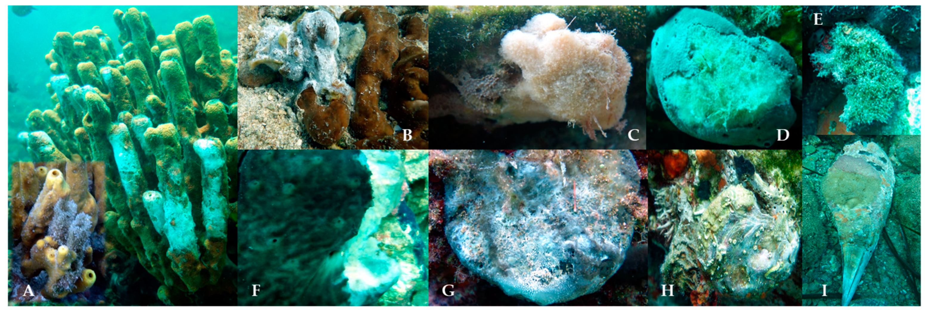 Hydrobiology 02 00020 g007 Hydrobiology 02 00020 g007