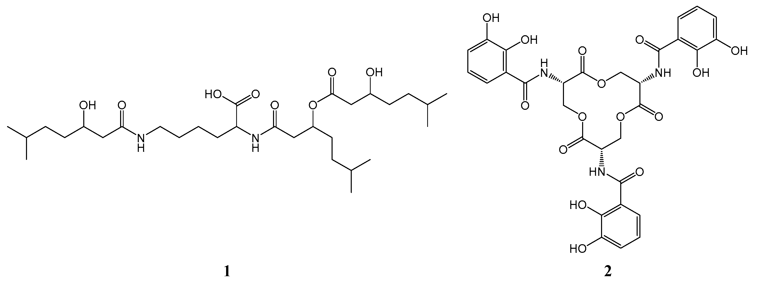 Hydrobiology 02 00025 g004