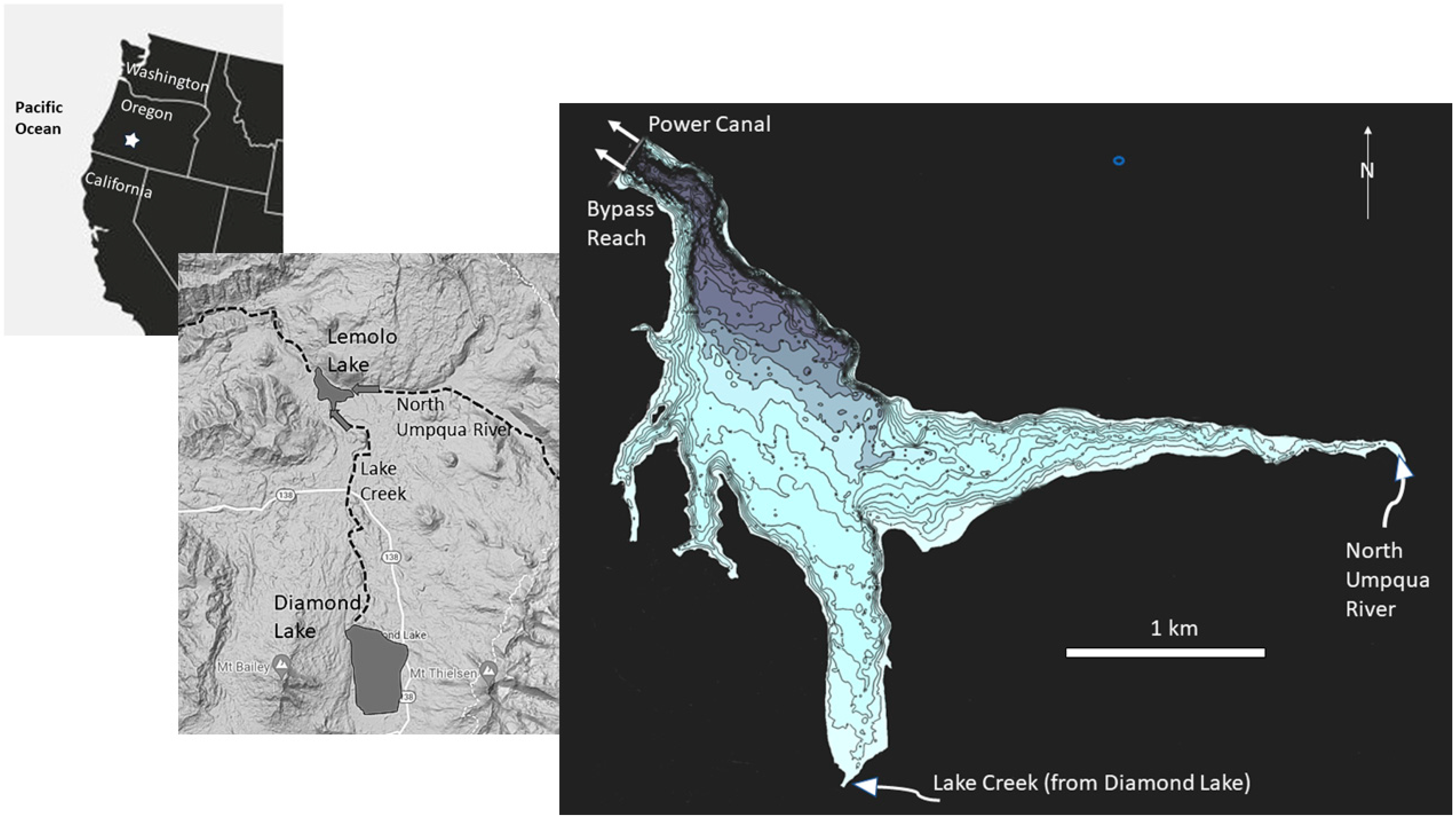 Hydrobiology 02 00032 g001
