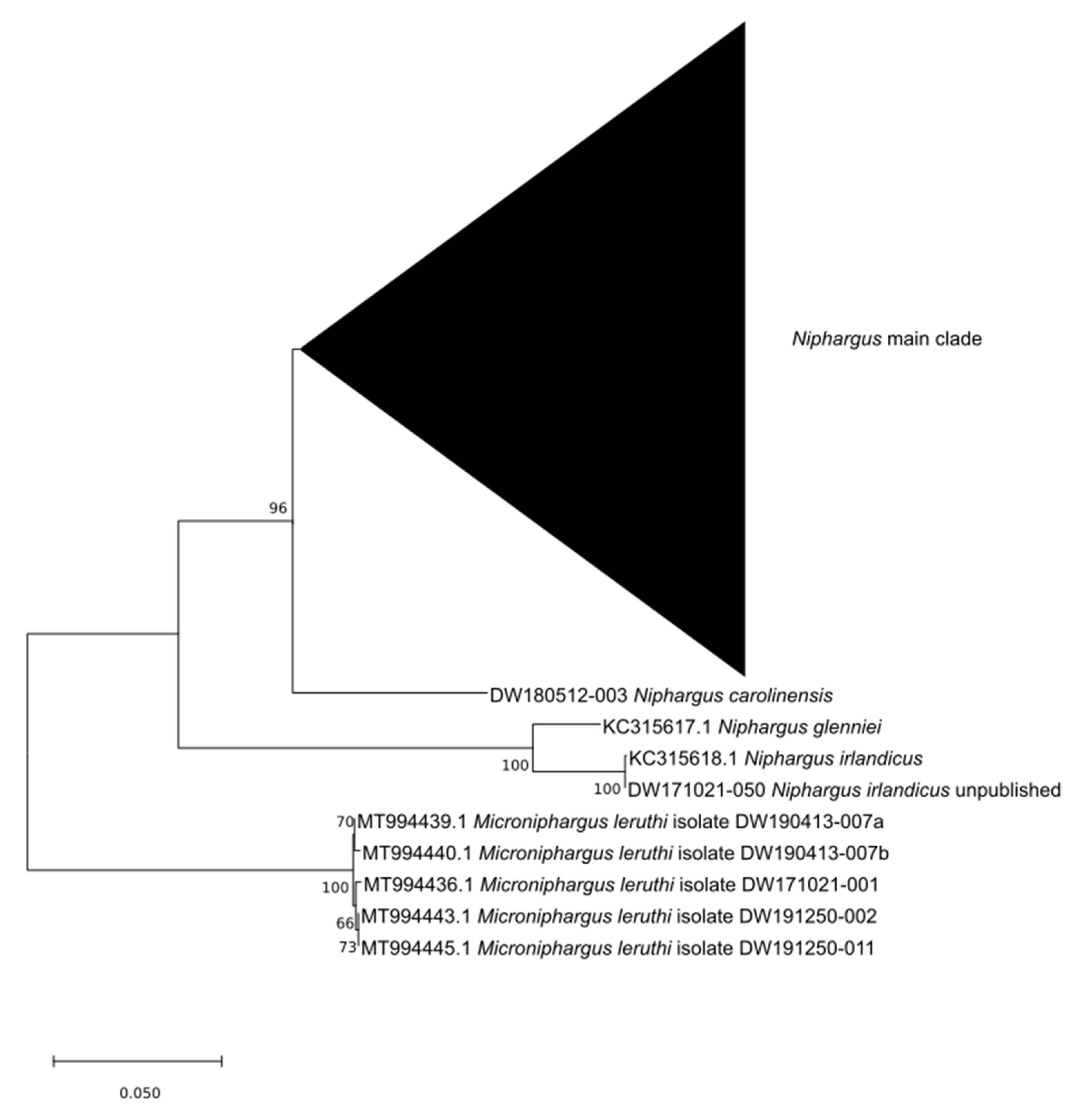 Hydrobiology 02 00037 g003 Hydrobiology 02 00037 g003
