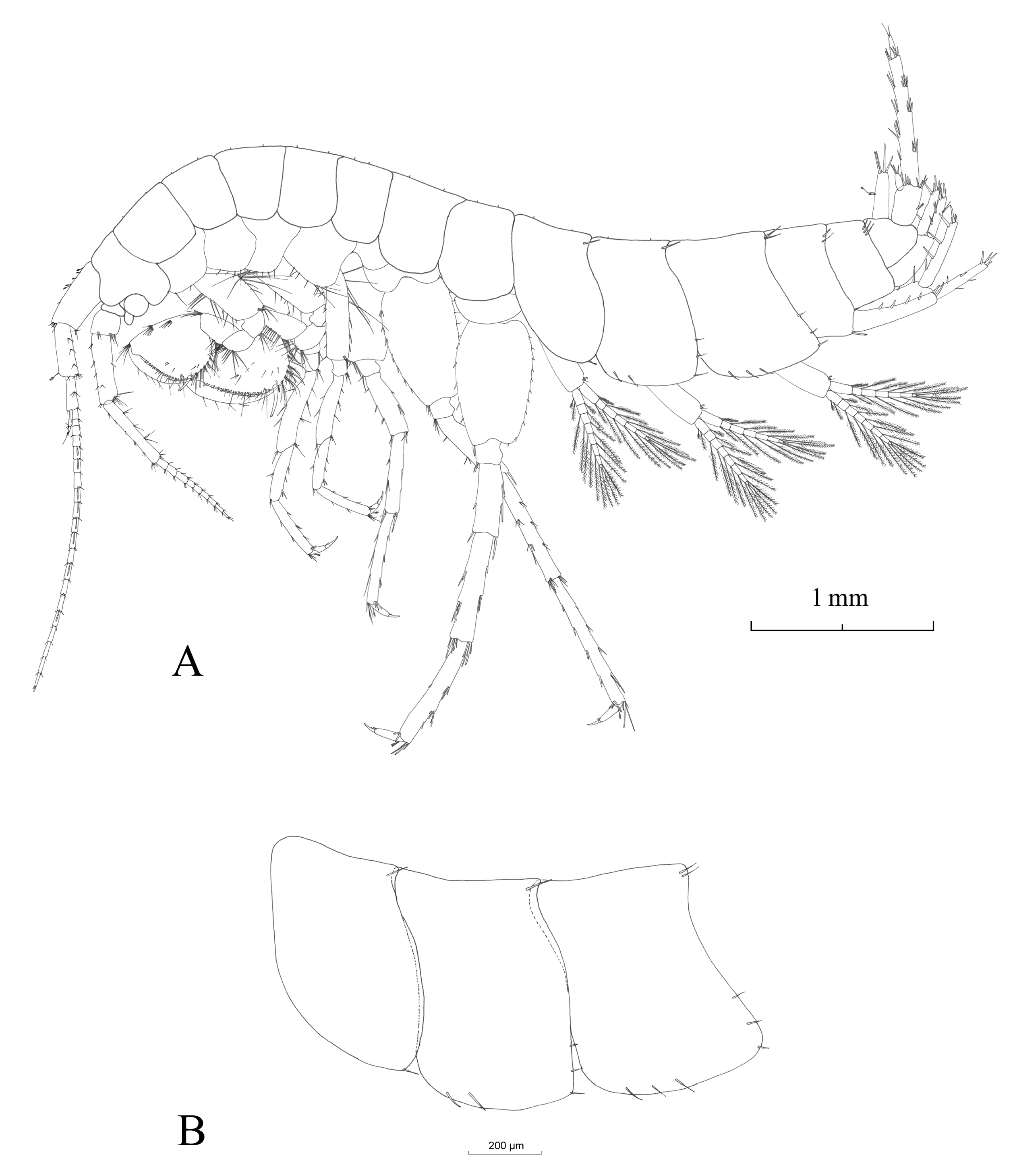 Hydrobiology 02 00037 g004 Hydrobiology 02 00037 g004