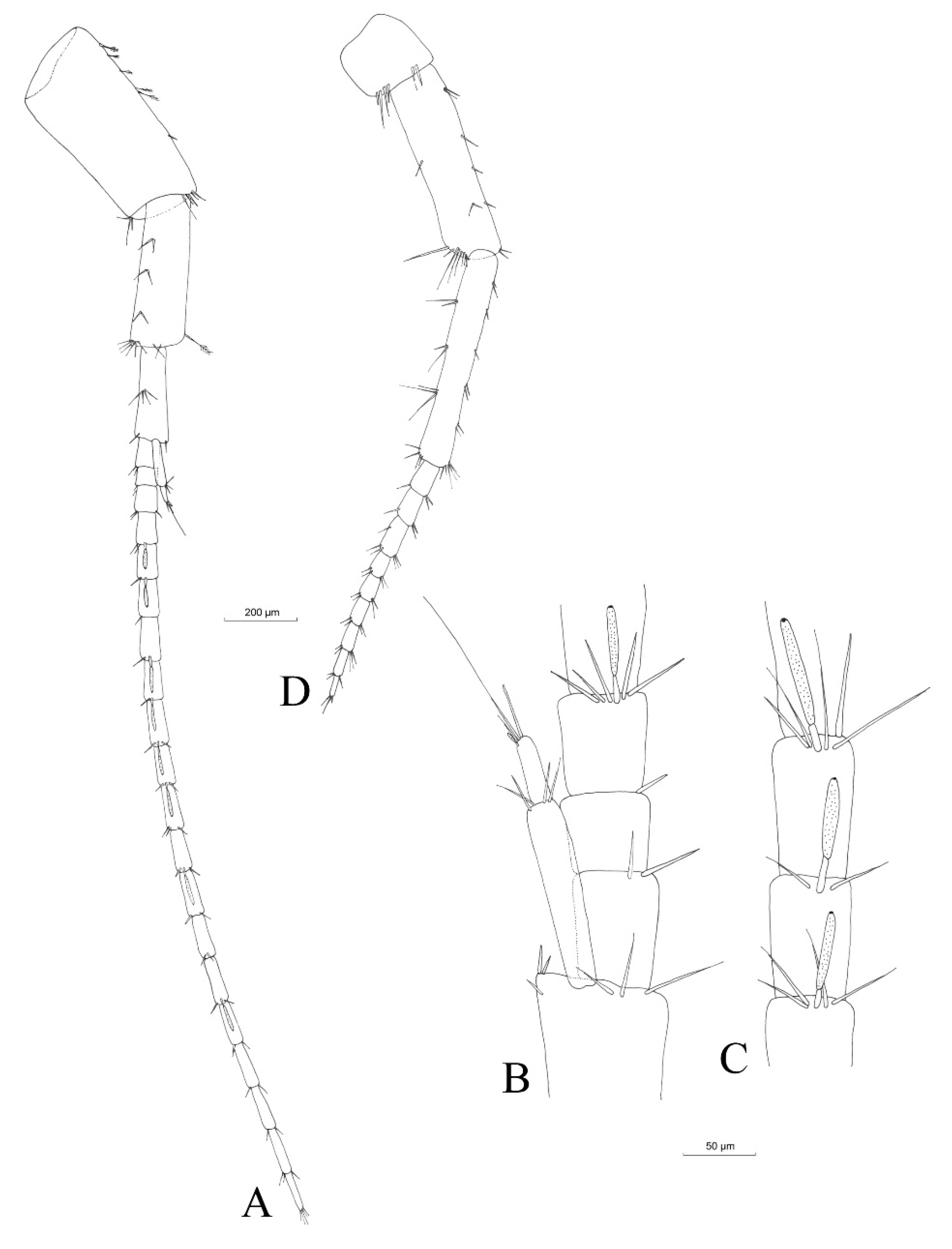 Hydrobiology 02 00037 g005 Hydrobiology 02 00037 g005