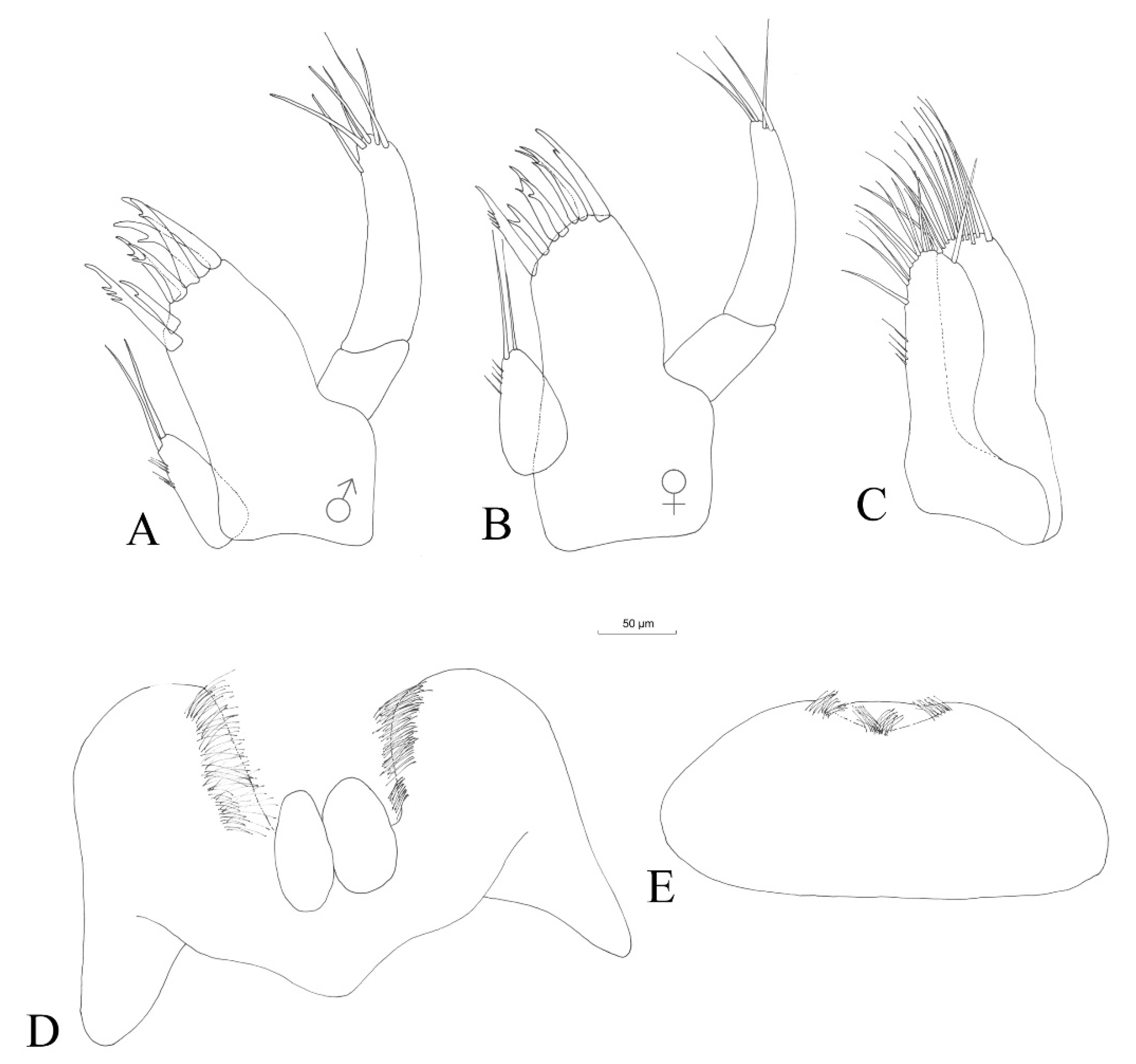 Hydrobiology 02 00037 g006 Hydrobiology 02 00037 g006