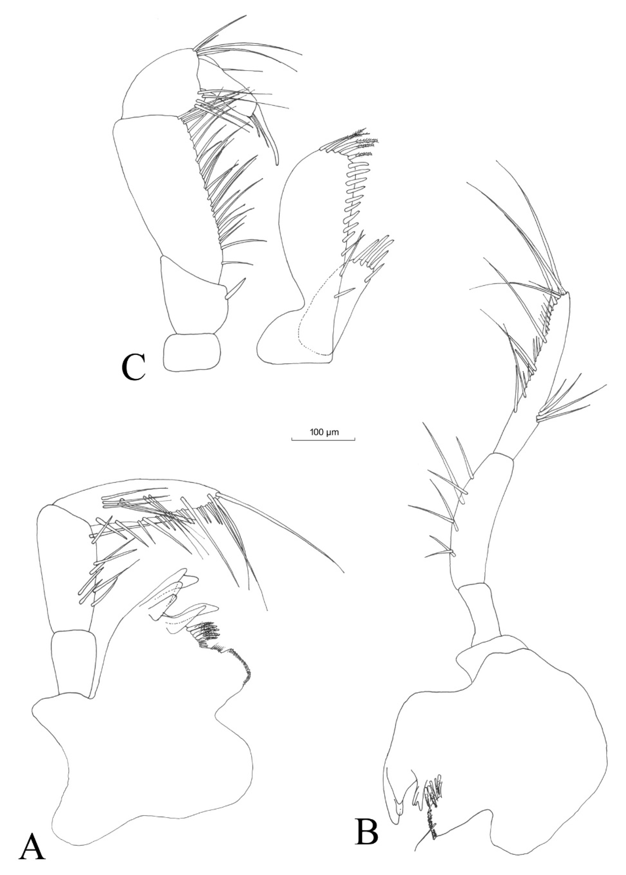 Hydrobiology 02 00037 g007 Hydrobiology 02 00037 g007